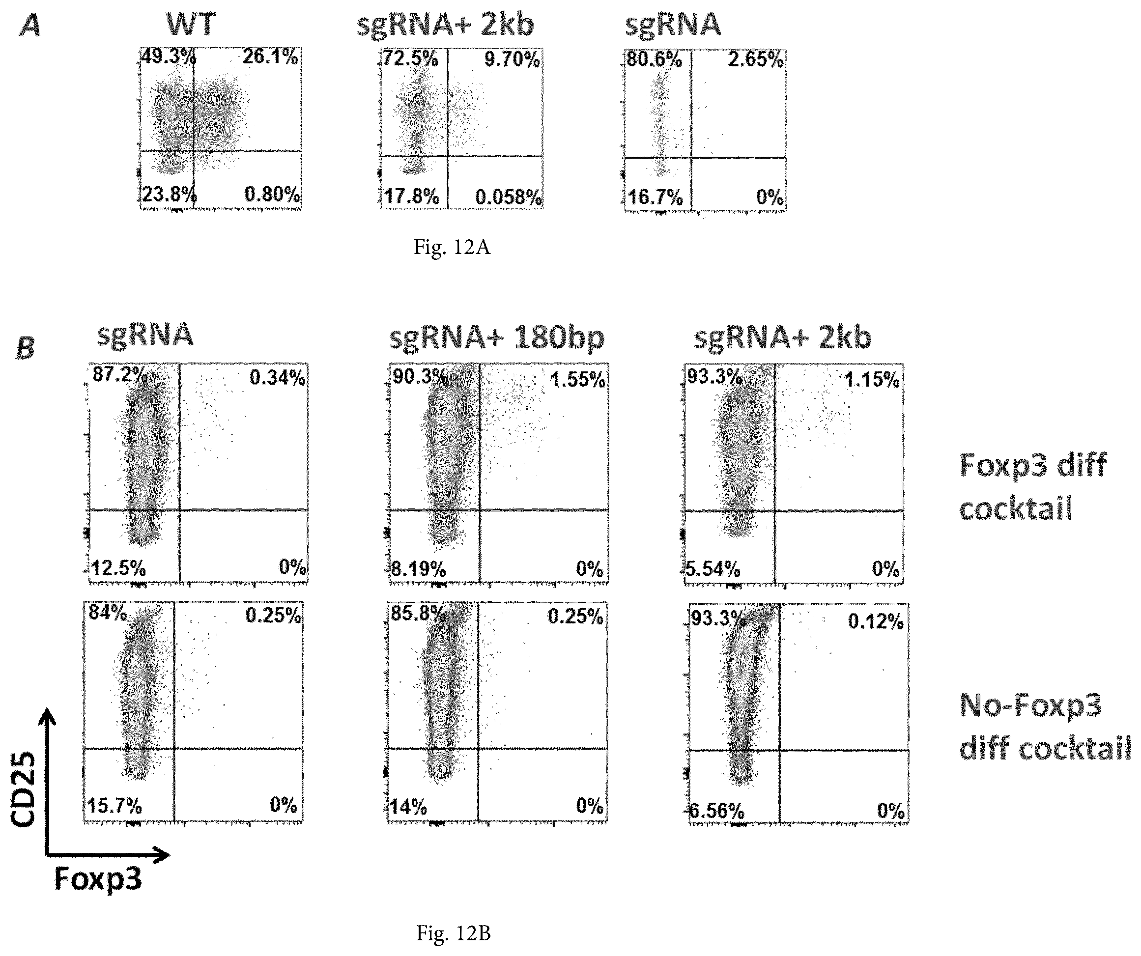 Patent US12365922 Figure 19 – Allele editing and applications thereof