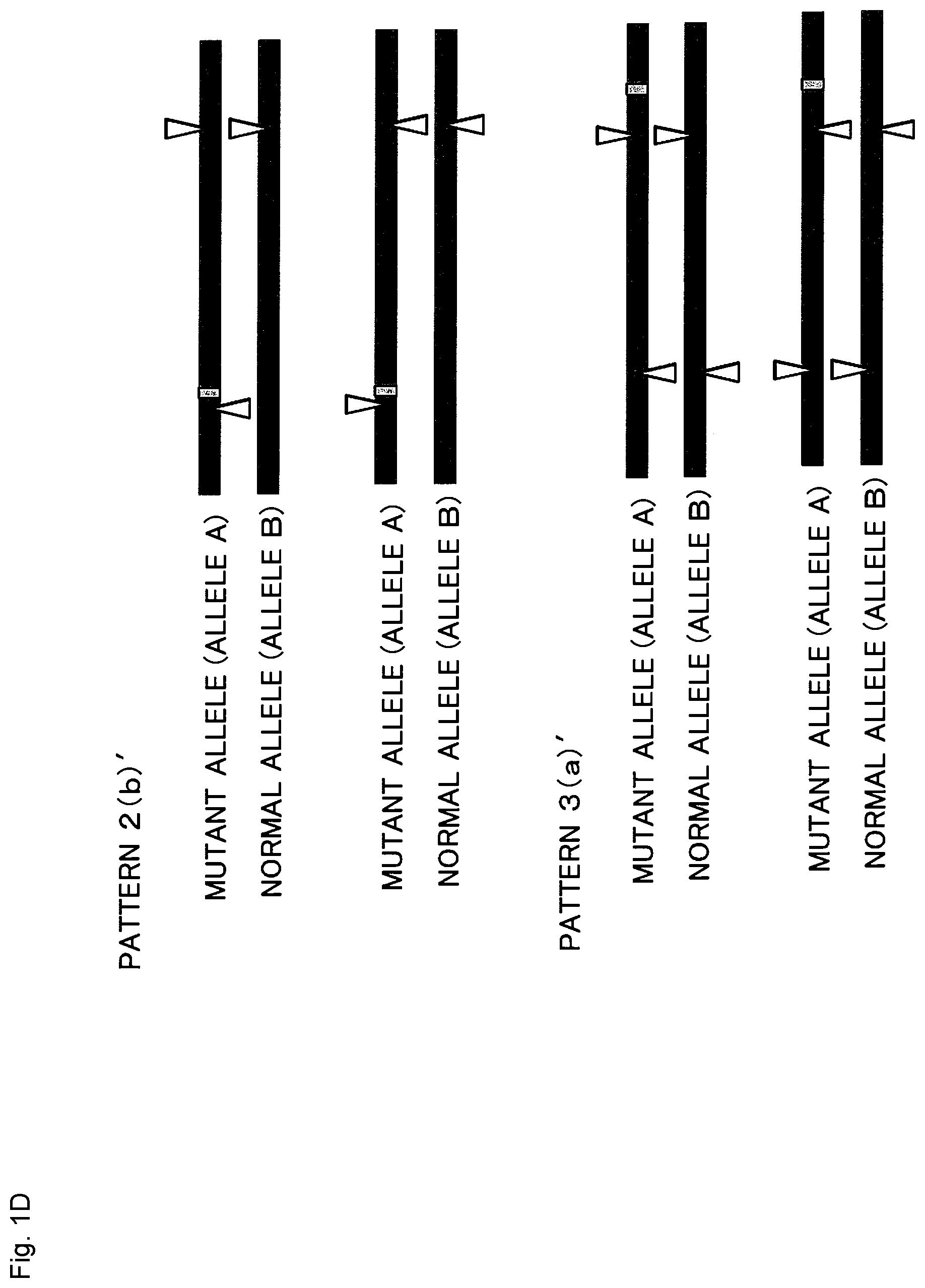 Patent US12365923 Figure 4 – Method for producing genome-edited cell