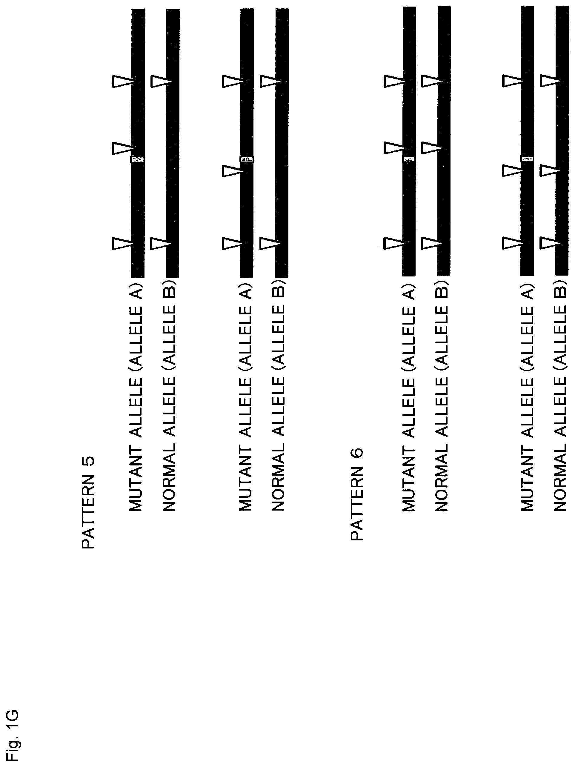 Patent US12365923 Figure 7 – Method for producing genome-edited cell