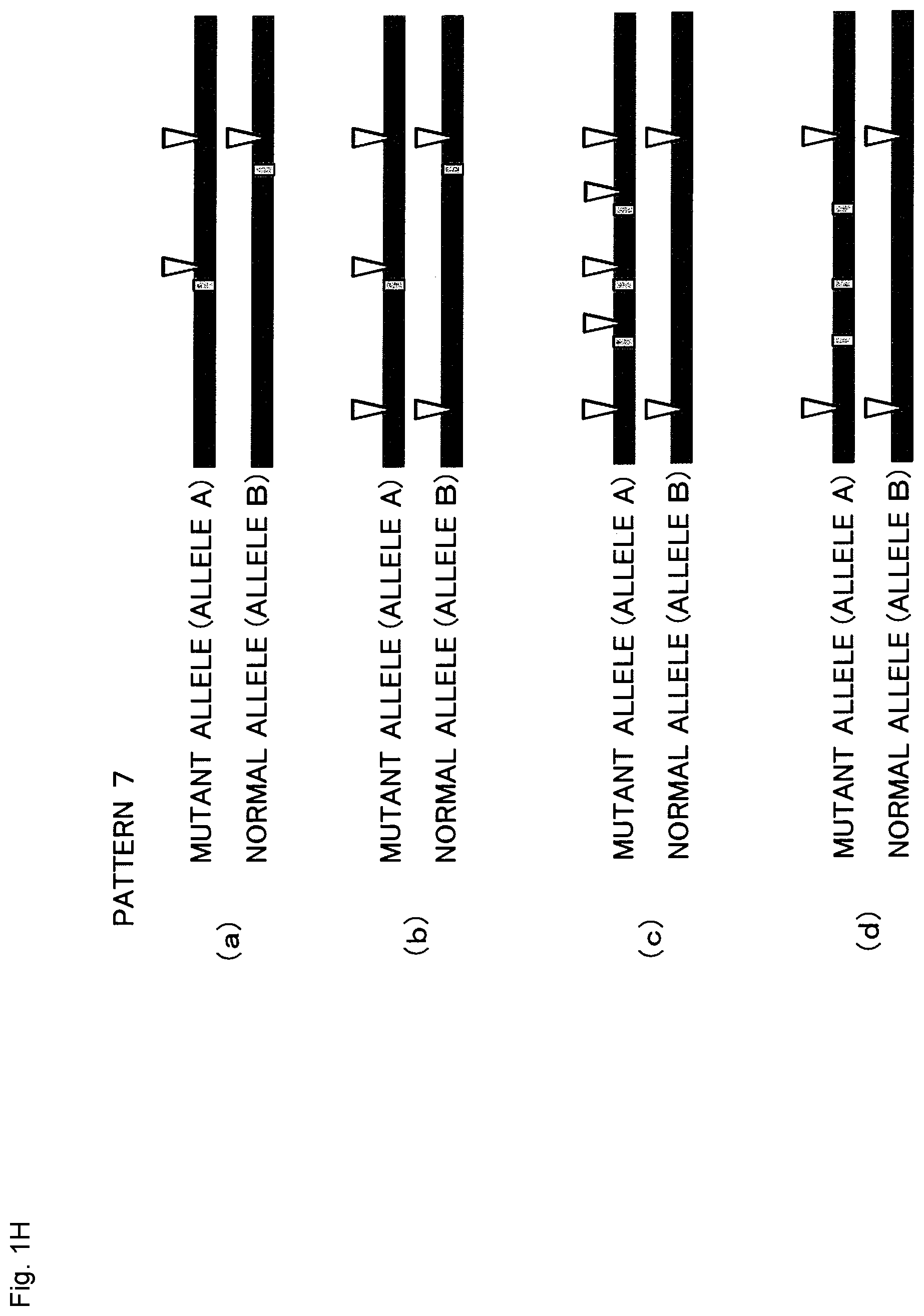 Patent US12365923 Figure 8 – Method for producing genome-edited cell