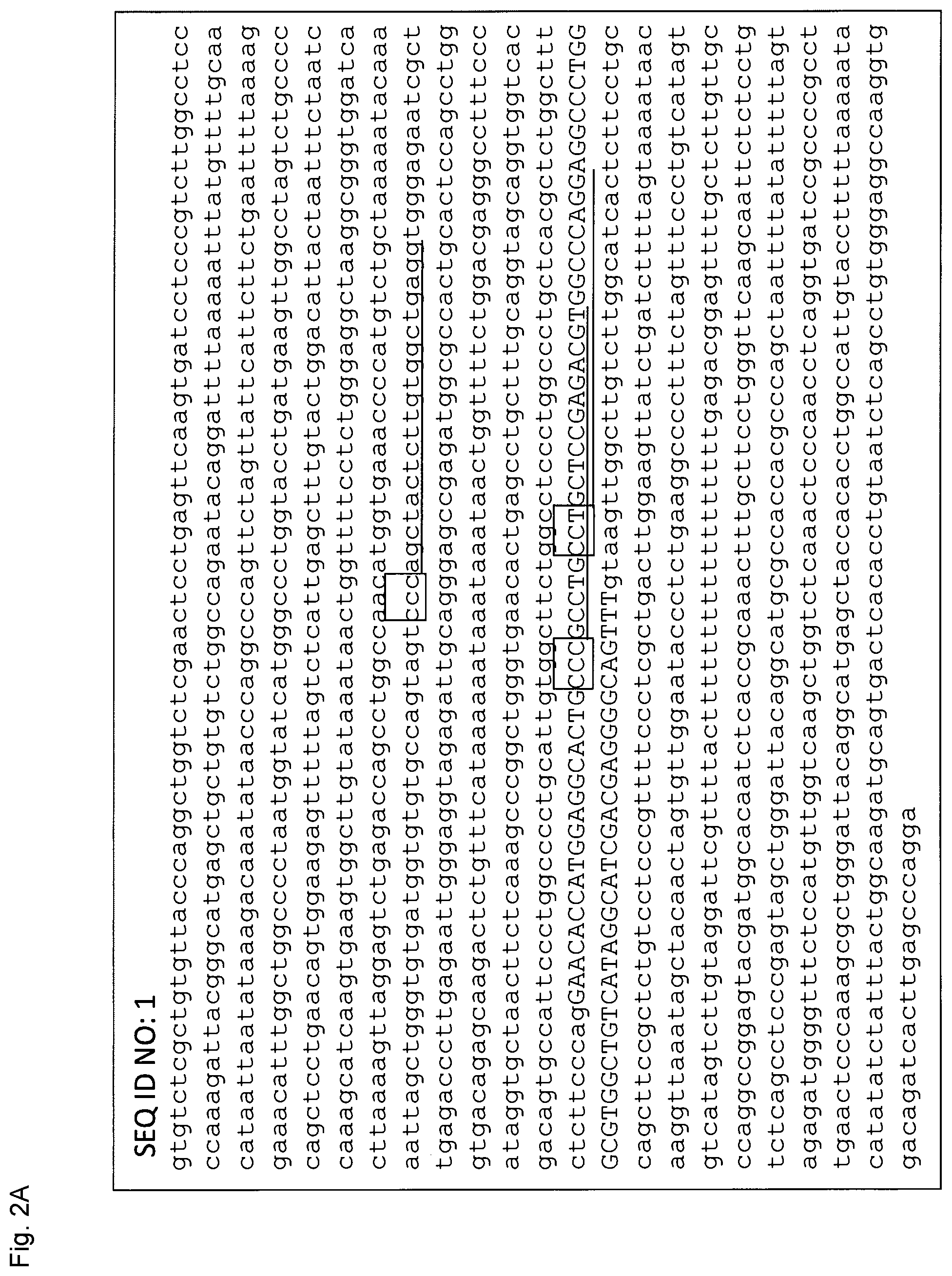 Patent US12365923 Figure 9 – Method for producing genome-edited cell