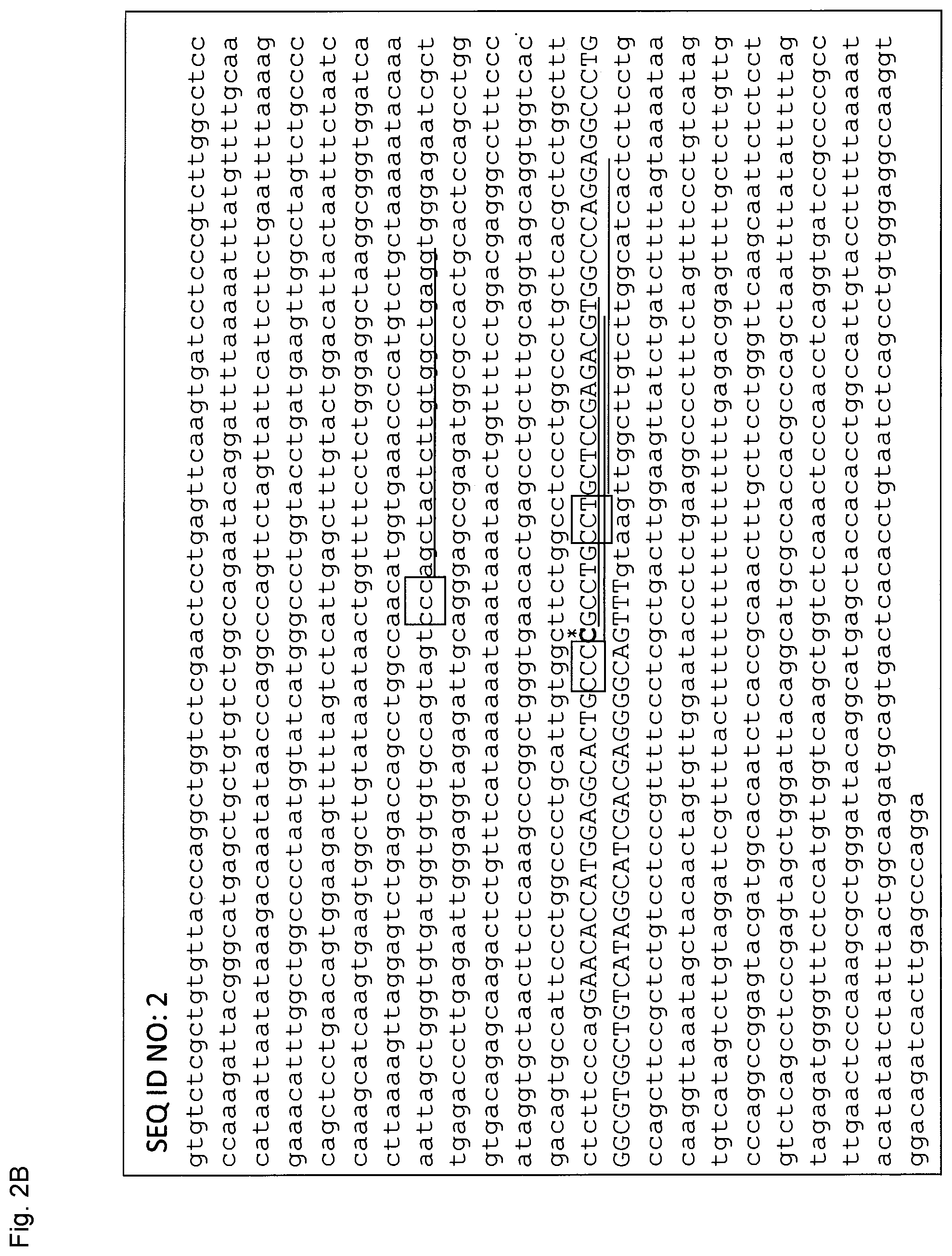 Patent US12365923 Figure 10 – Method for producing genome-edited cell