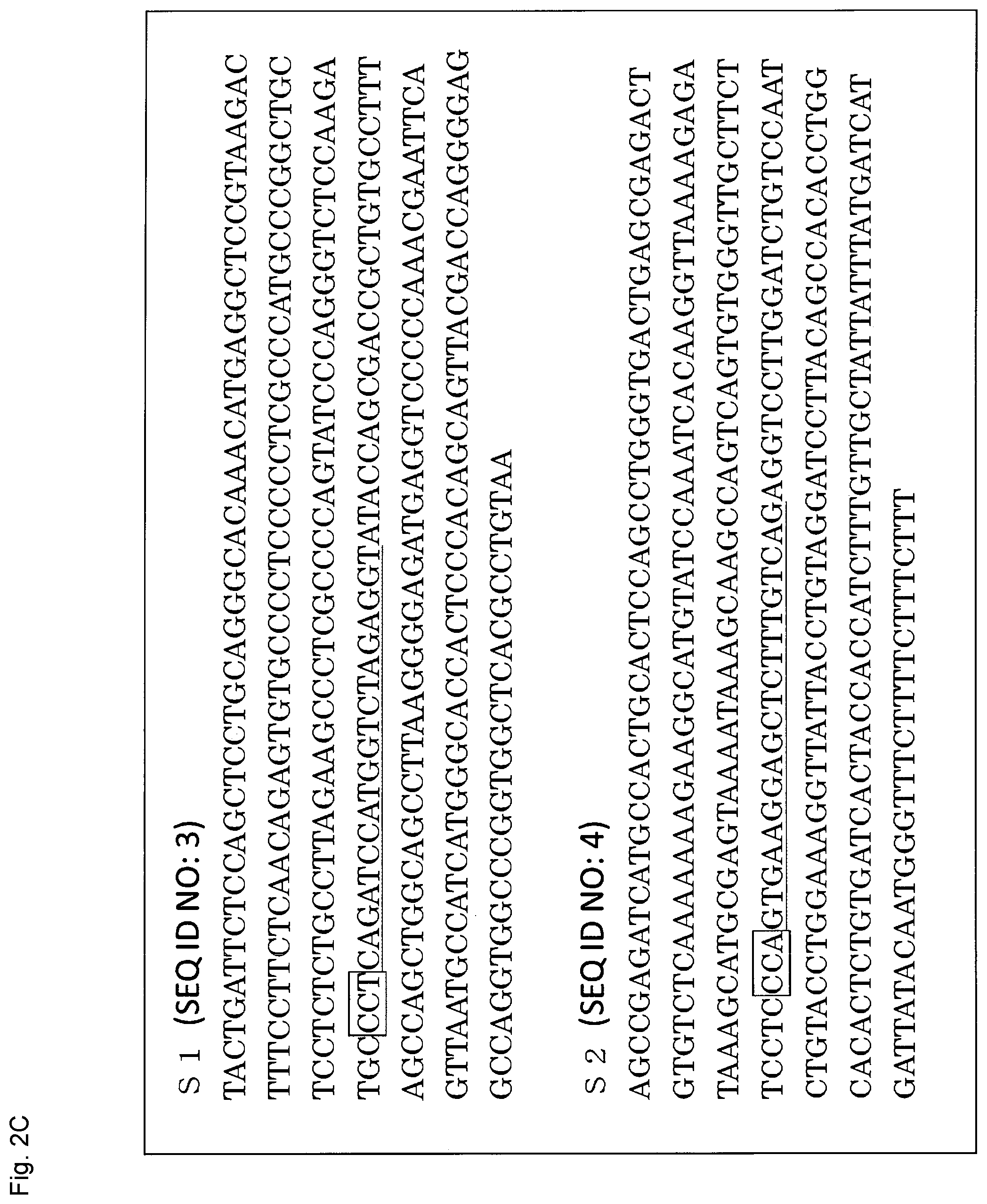 Patent US12365923 Figure 11 – Method for producing genome-edited cell