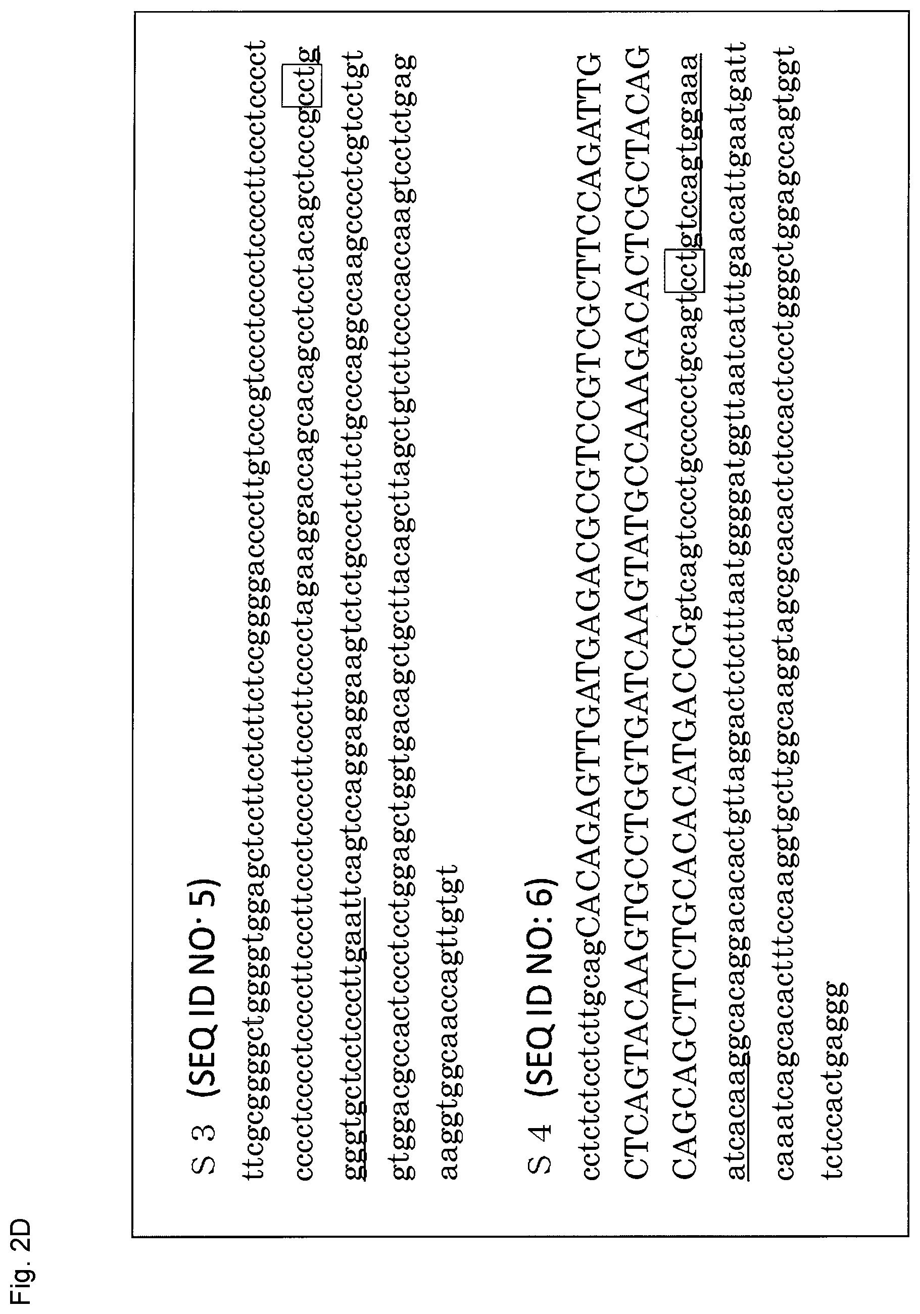 Patent US12365923 Figure 12 – Method for producing genome-edited cell