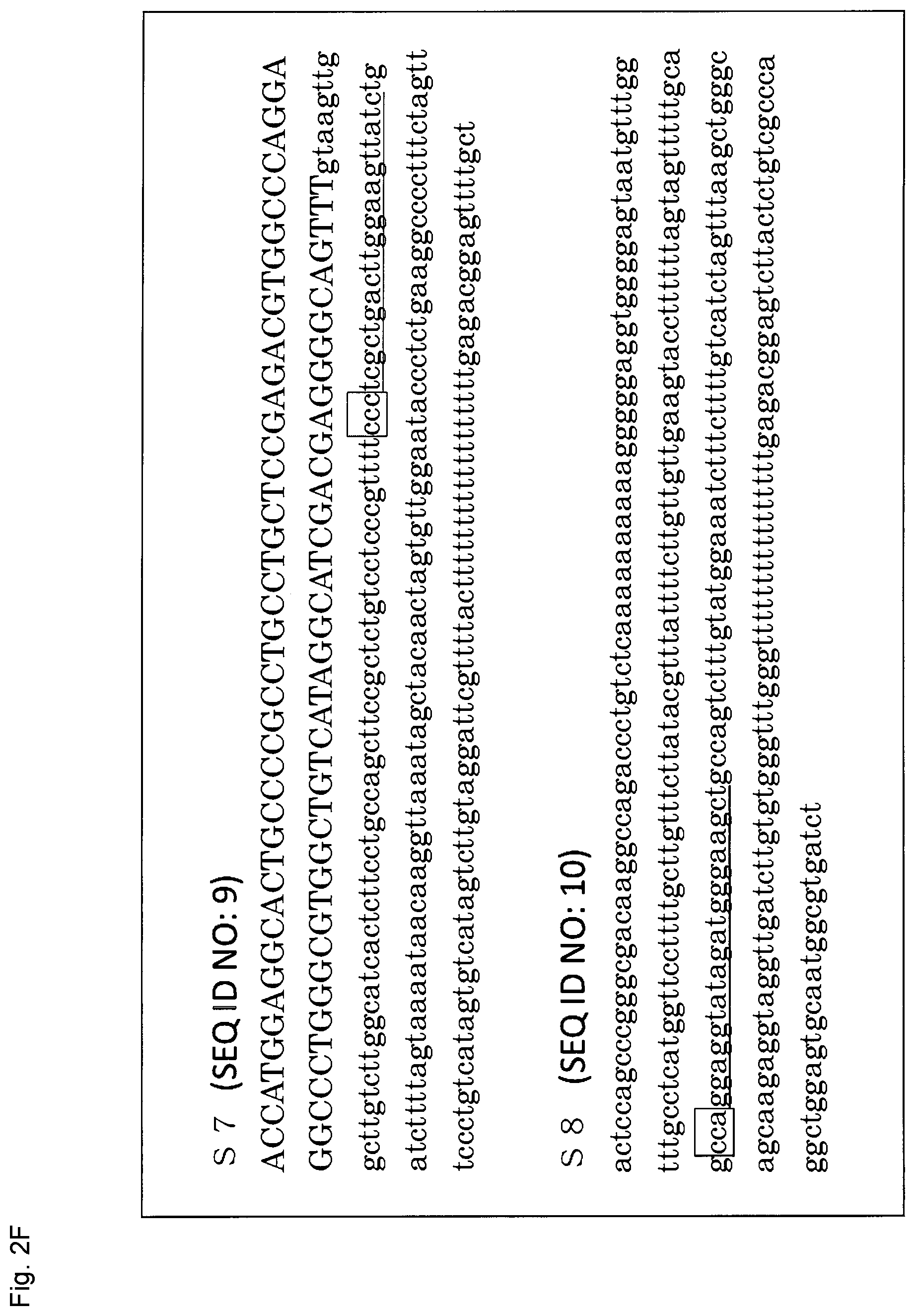 Patent US12365923 Figure 14 – Method for producing genome-edited cell