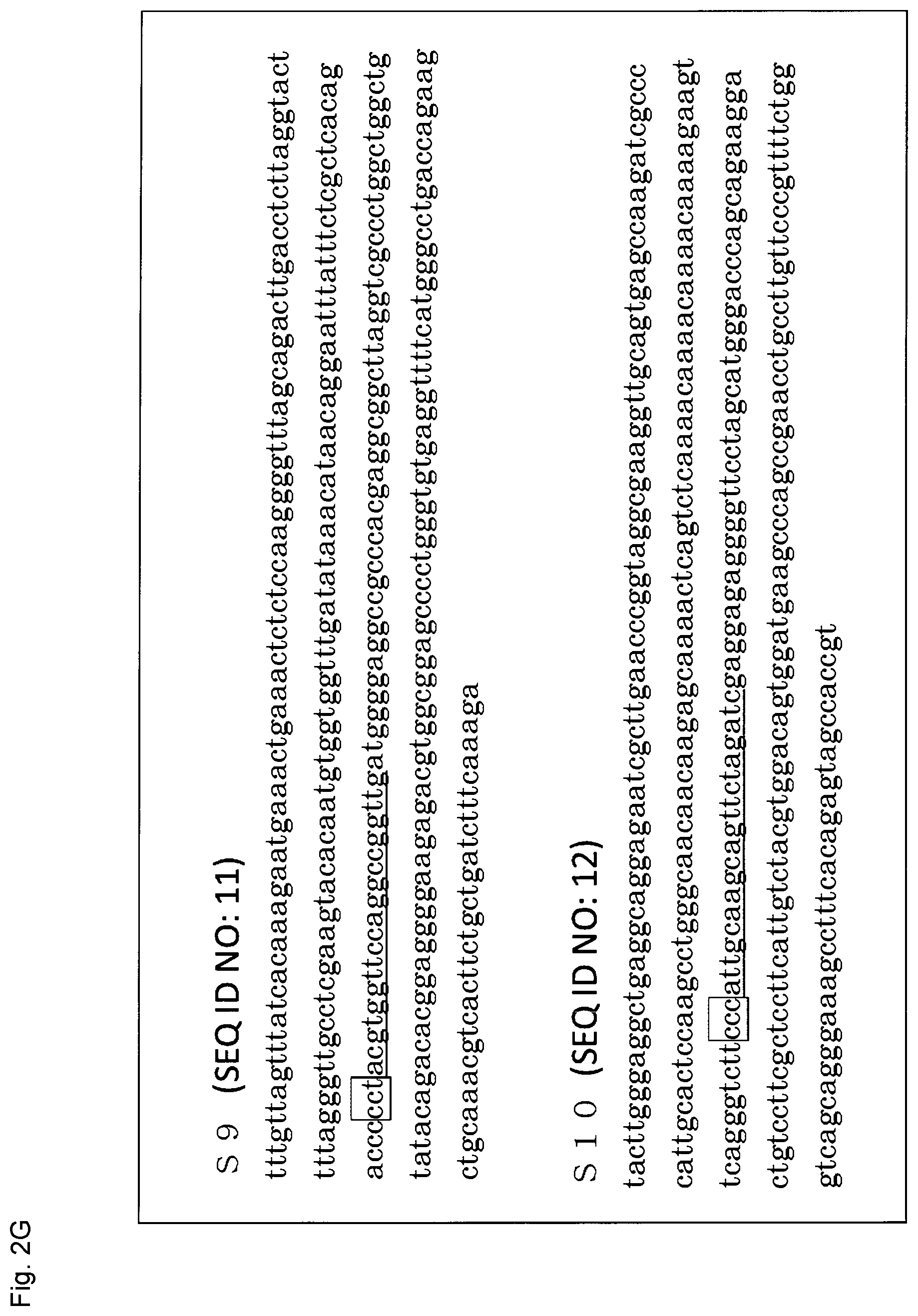 Patent US12365923 Figure 15 – Method for producing genome-edited cell