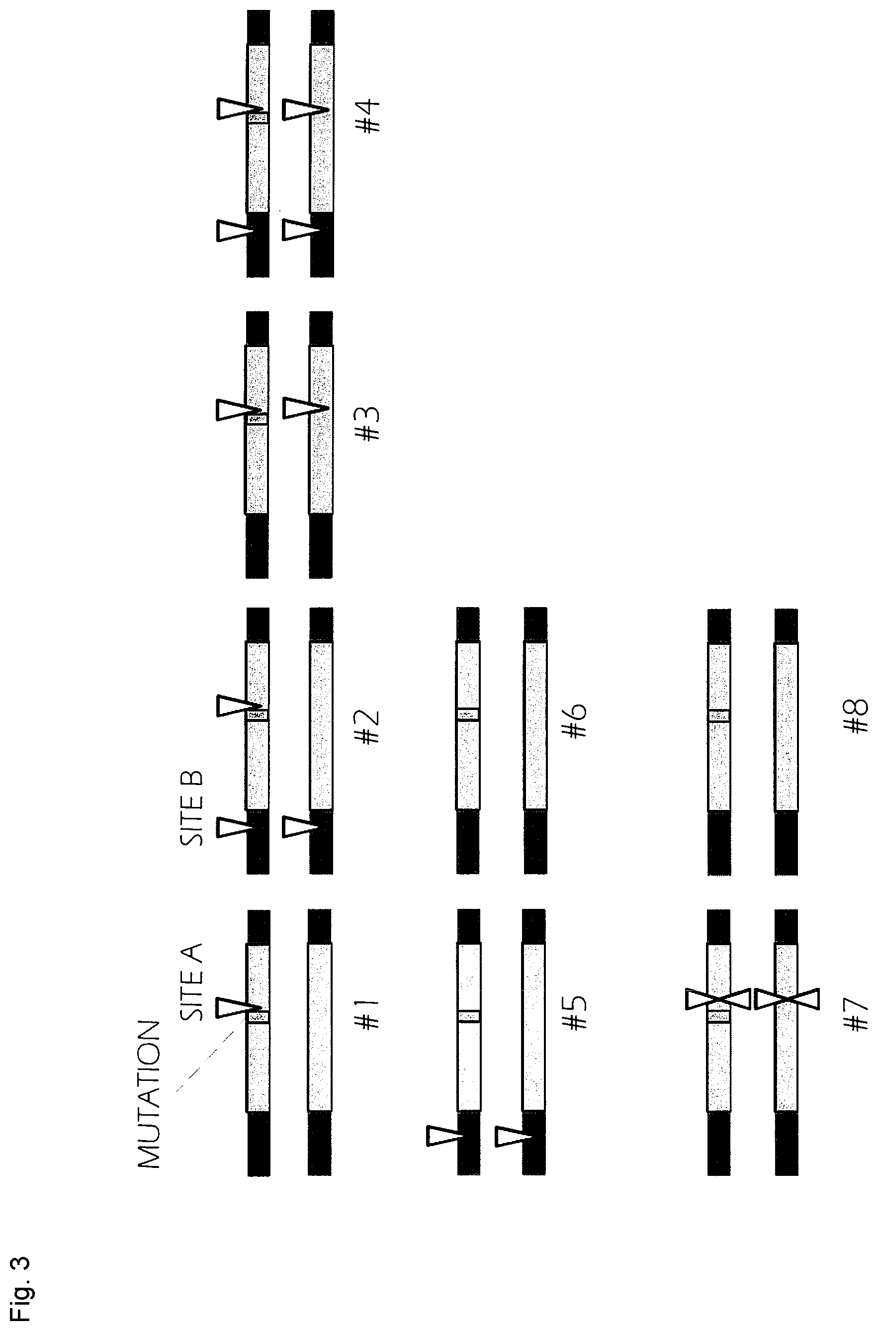 Patent US12365923 Figure 18 – Method for producing genome-edited cell
