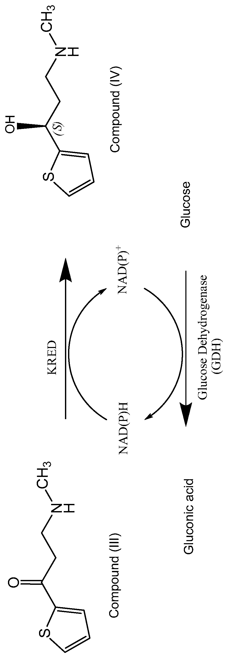 Patent US12365927 Figure 1 – Engineered ketoreductase polypeptides
