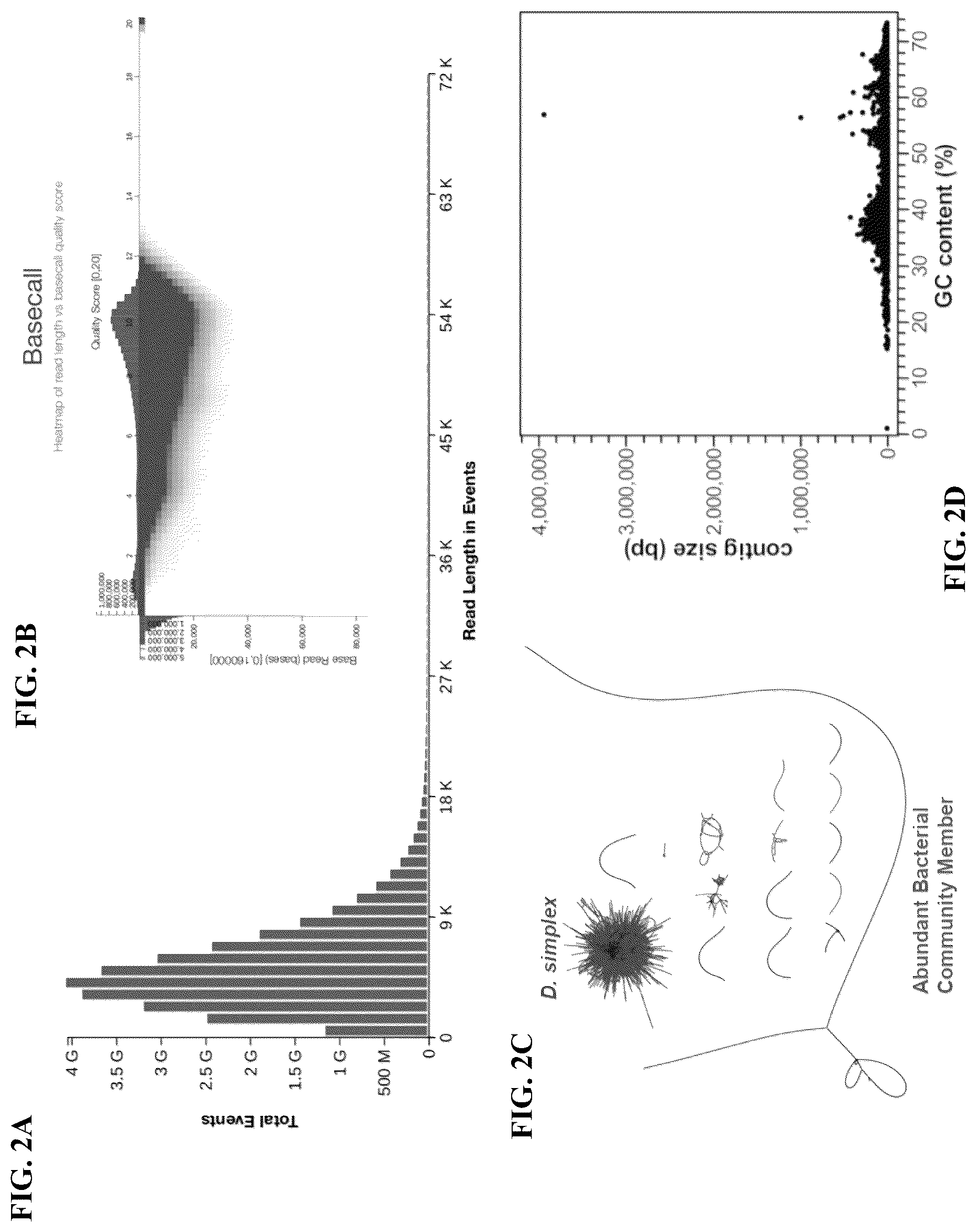 Patent US12365928 Figure 2 – Scalable biosynthesis of the seaweed neurochemical kainic acid