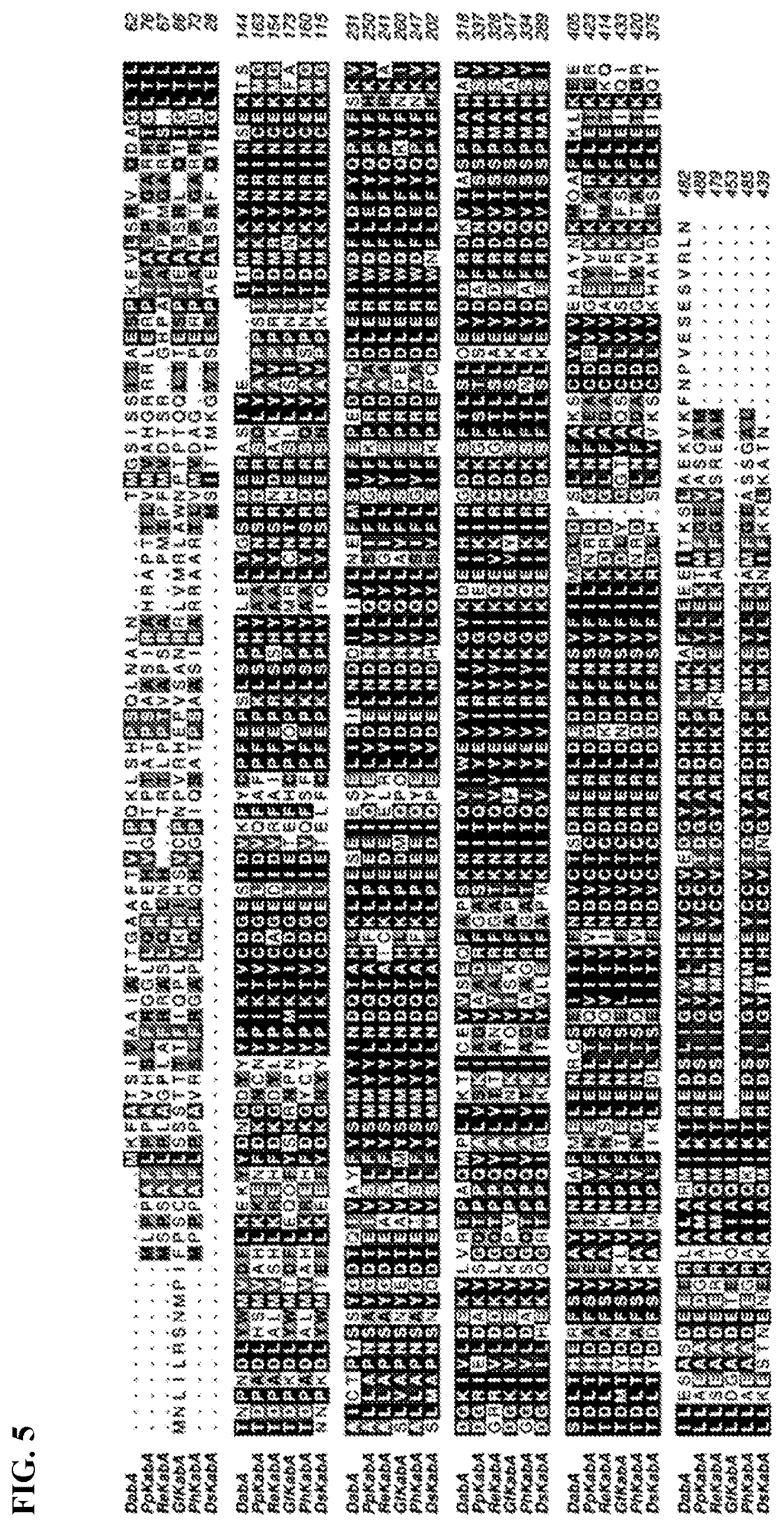 Patent US12365928 Figure 5 – Scalable biosynthesis of the seaweed neurochemical kainic acid