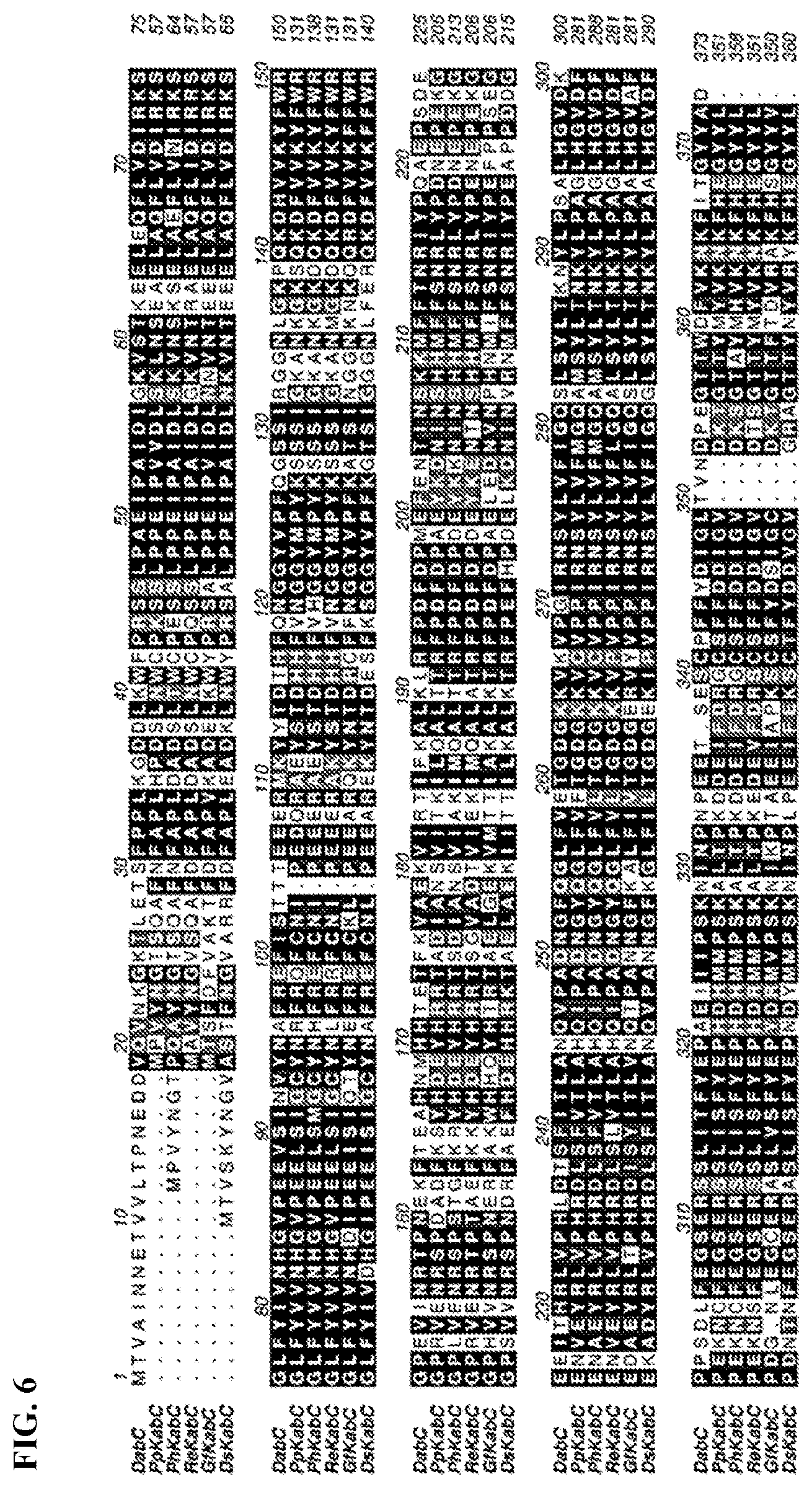 Patent US12365928 Figure 6 – Scalable biosynthesis of the seaweed neurochemical kainic acid