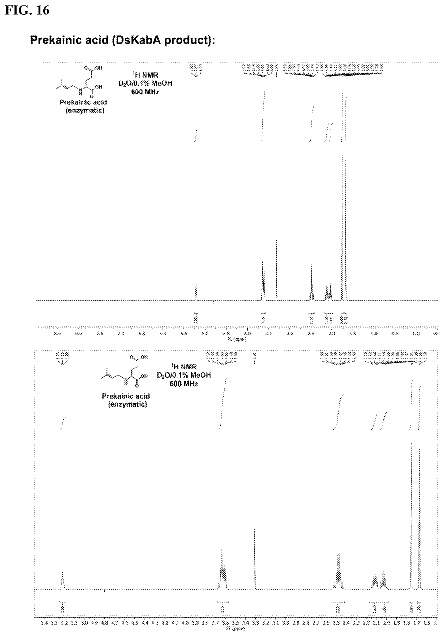 Patent US12365928 Figure 16 – Scalable biosynthesis of the seaweed neurochemical kainic acid