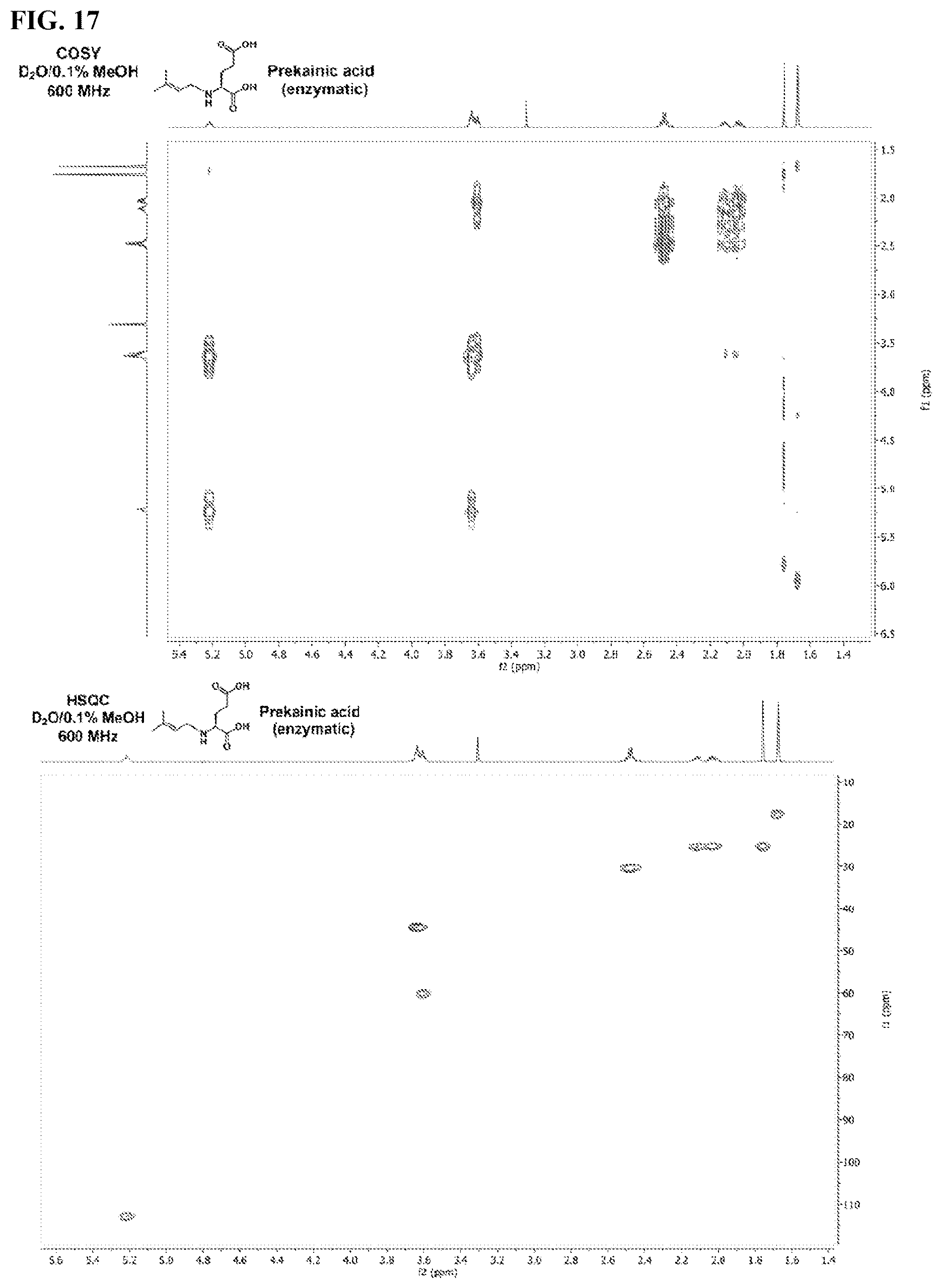 Patent US12365928 Figure 17 – Scalable biosynthesis of the seaweed neurochemical kainic acid