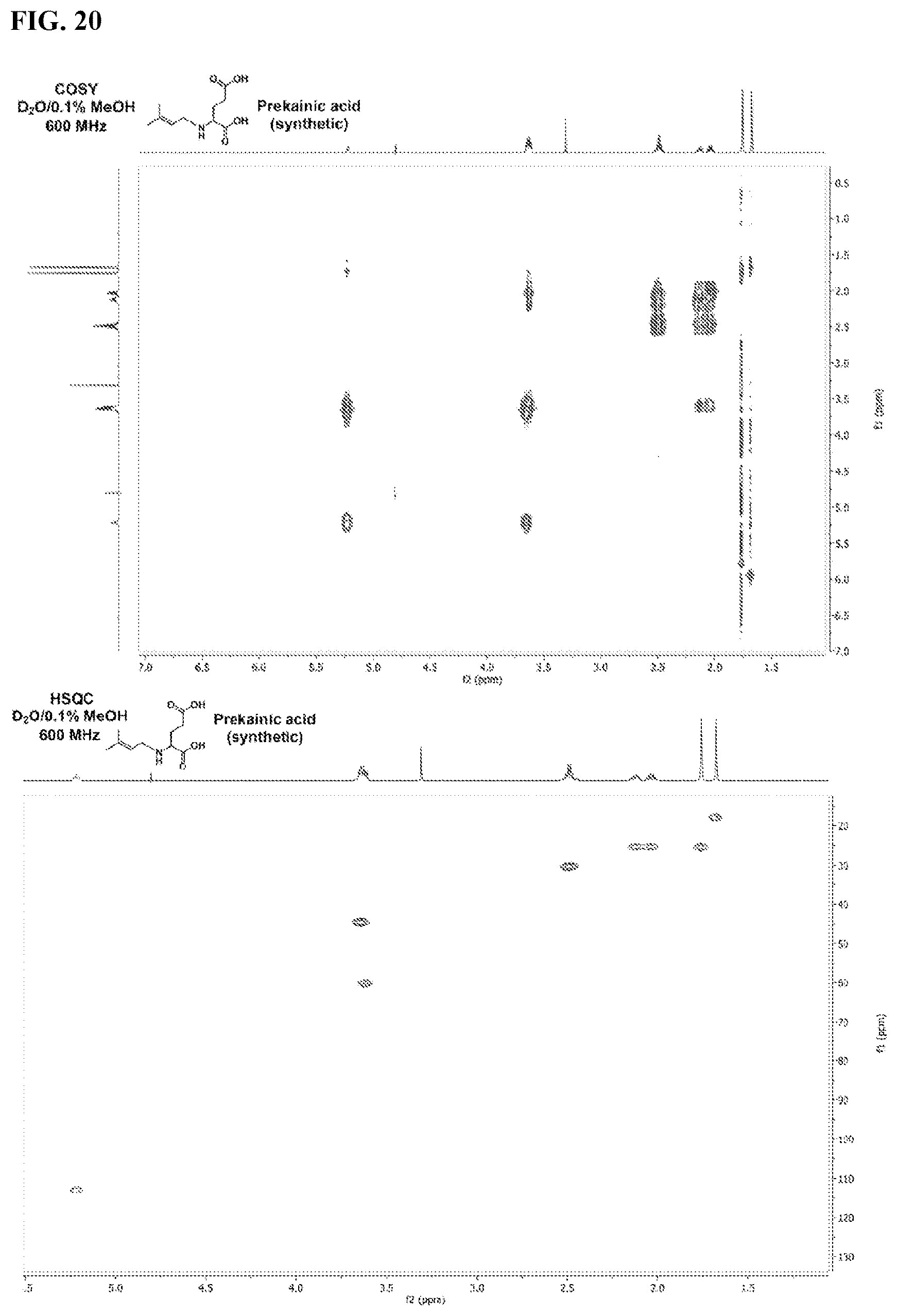 Patent US12365928 Figure 20 – Scalable biosynthesis of the seaweed neurochemical kainic acid