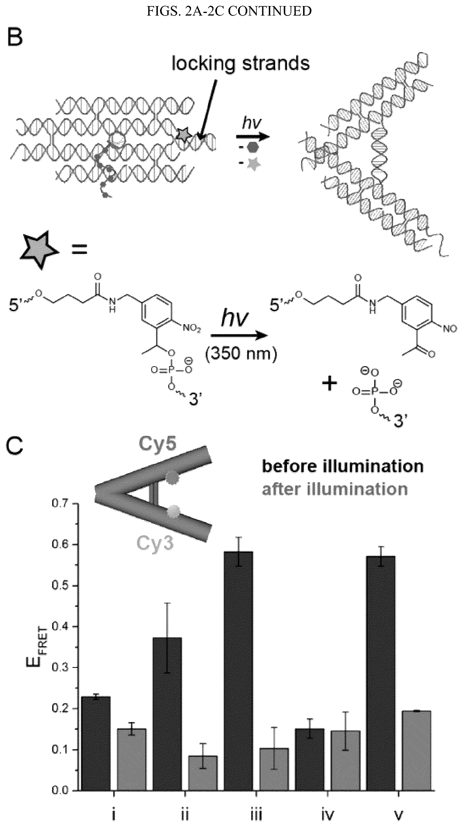 Patent US12365929 Figure 3 – Reconfigurable DNA nano-tweezer