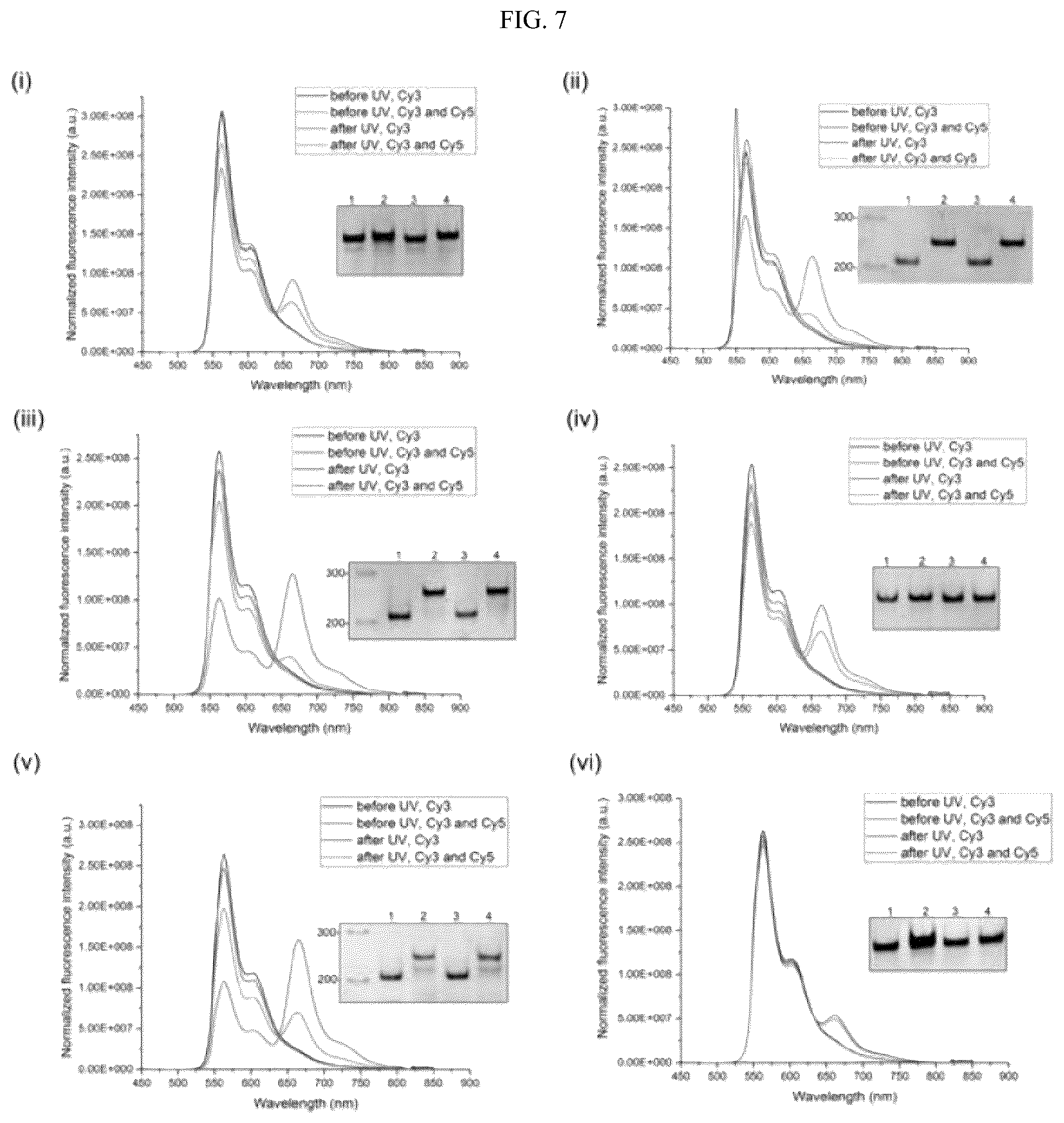 Patent US12365929 Figure 8 – Reconfigurable DNA nano-tweezer