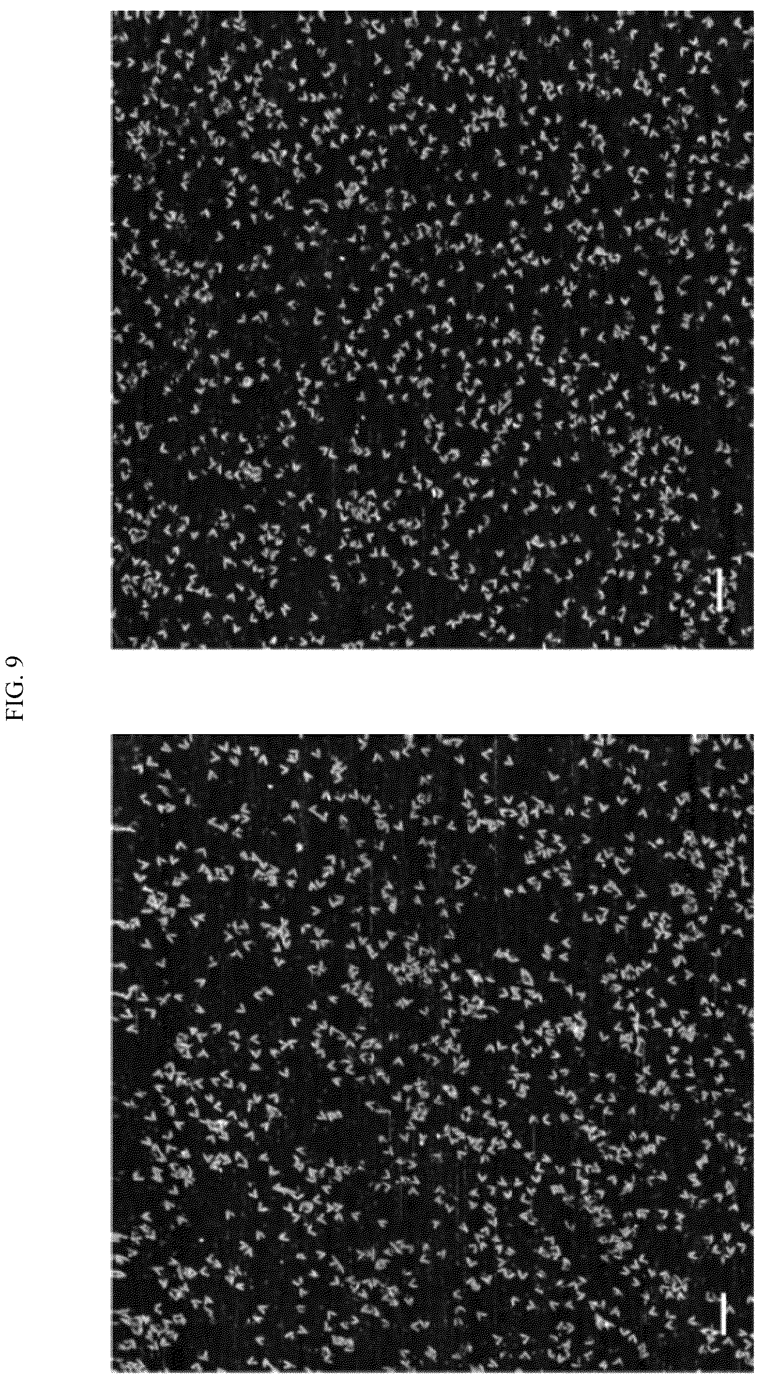 Patent US12365929 Figure 11 – Reconfigurable DNA nano-tweezer
