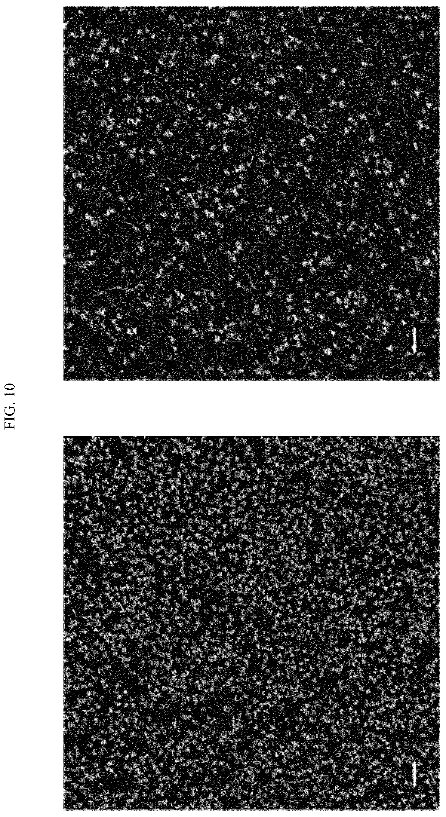 Patent US12365929 Figure 12 – Reconfigurable DNA nano-tweezer