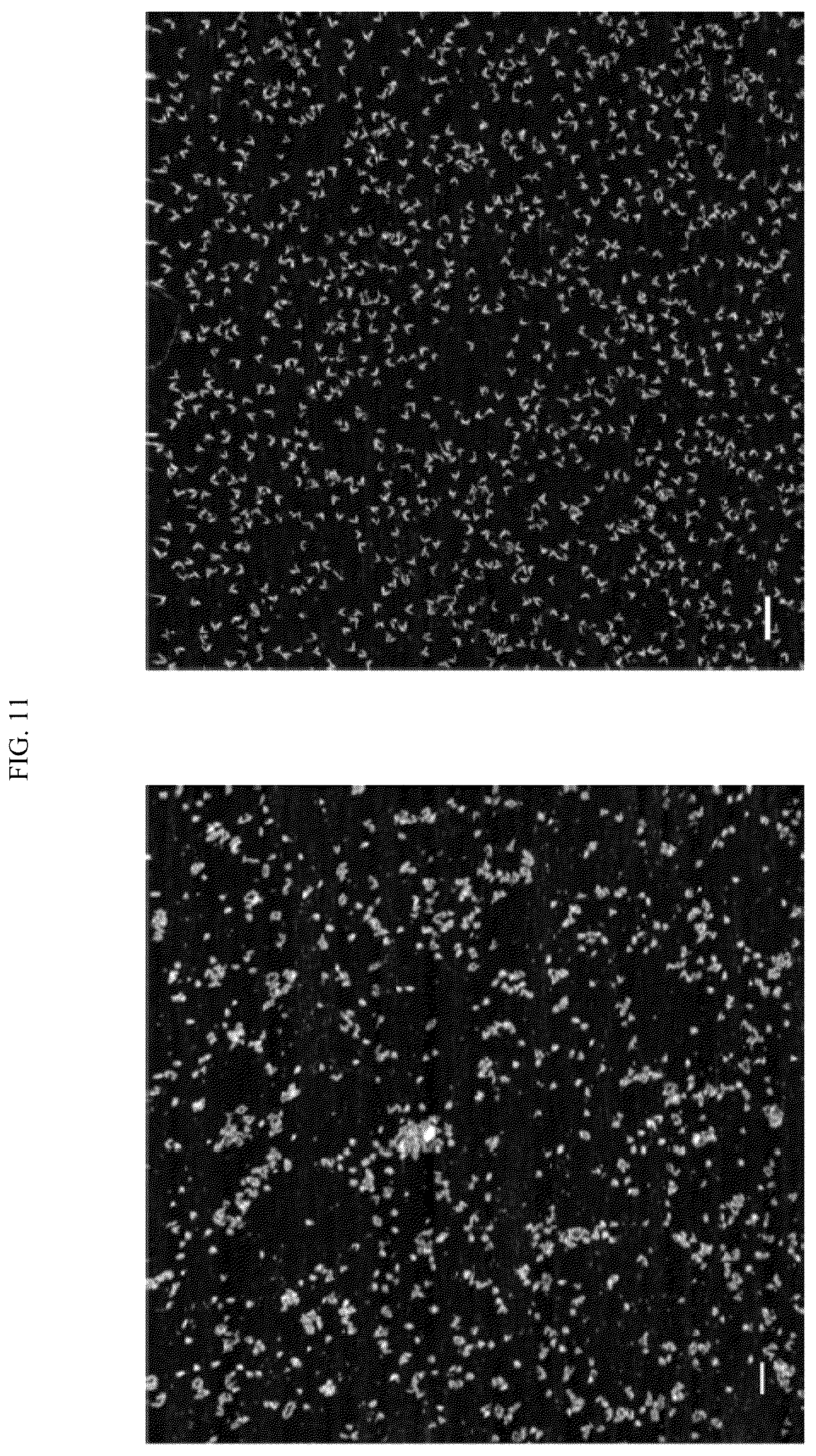 Patent US12365929 Figure 13 – Reconfigurable DNA nano-tweezer