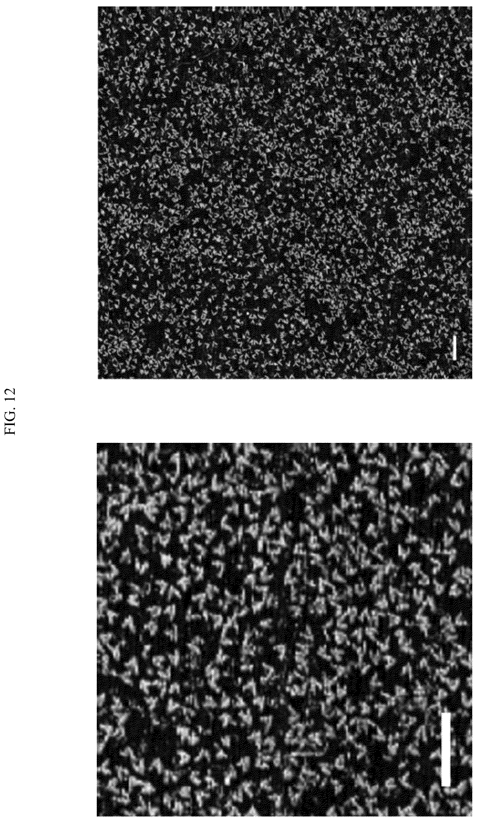 Patent US12365929 Figure 14 – Reconfigurable DNA nano-tweezer