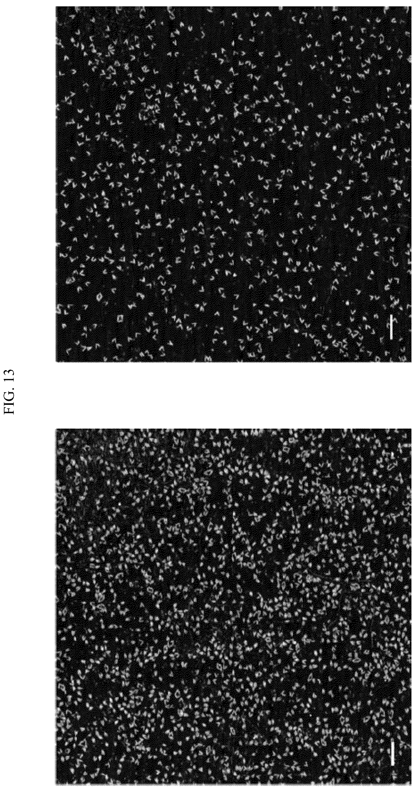 Patent US12365929 Figure 15 – Reconfigurable DNA nano-tweezer