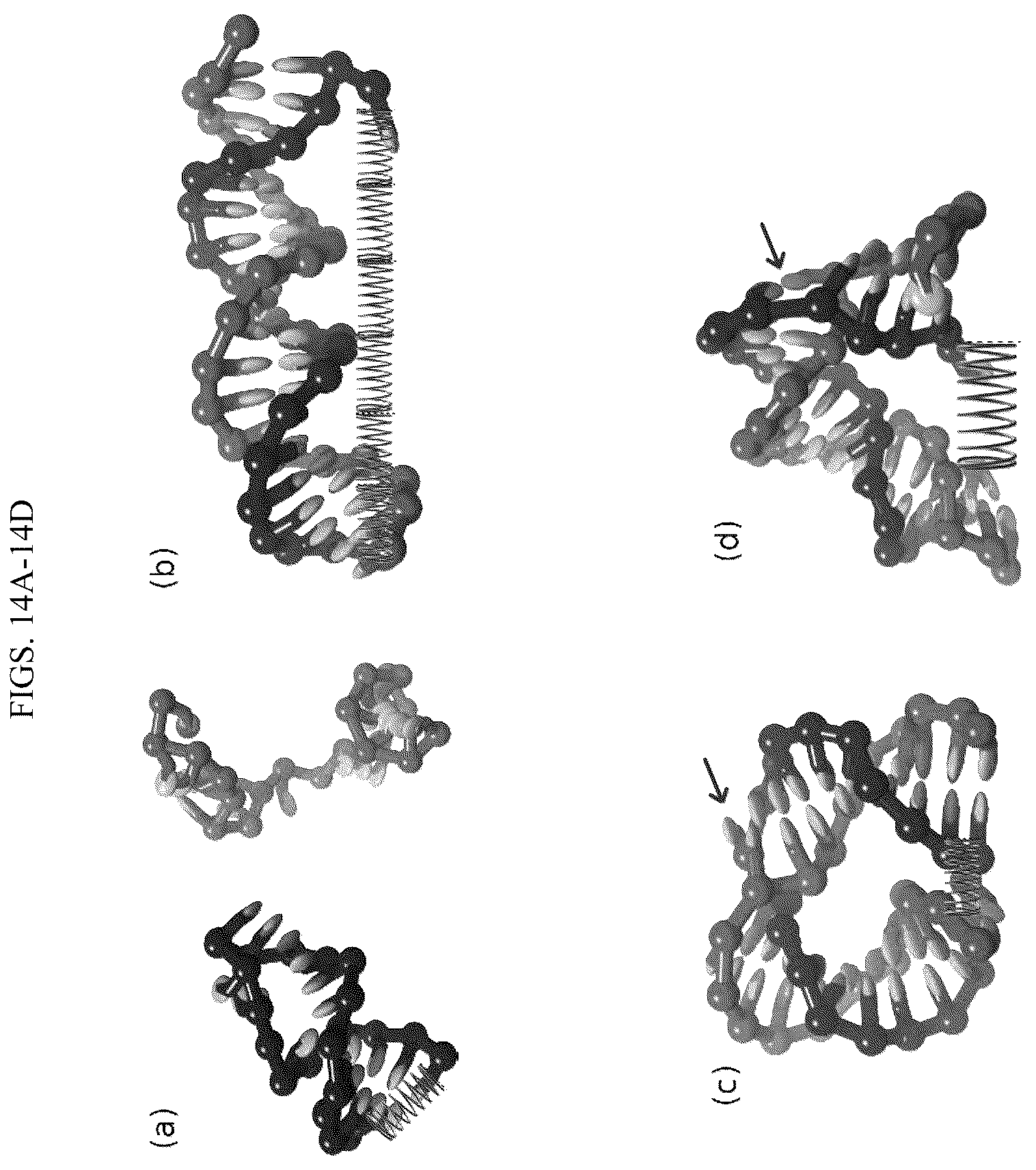 Patent US12365929 Figure 16 – Reconfigurable DNA nano-tweezer