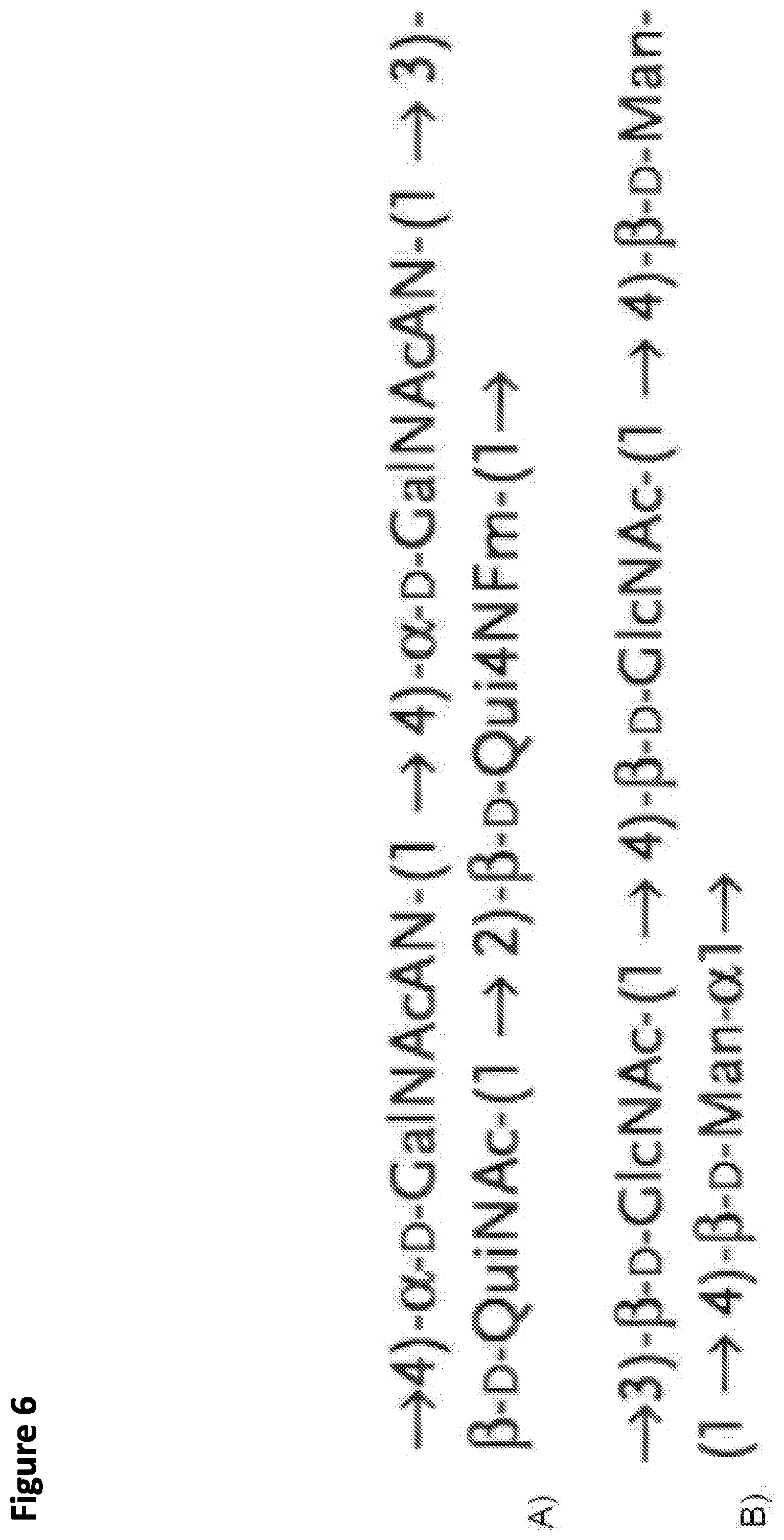 Patent US12365930 Figure 6 – Method for rapid in vitro synthesis of glycoproteins via recombinant production of N-glycosylated proteins in prokaryotic cell lysates