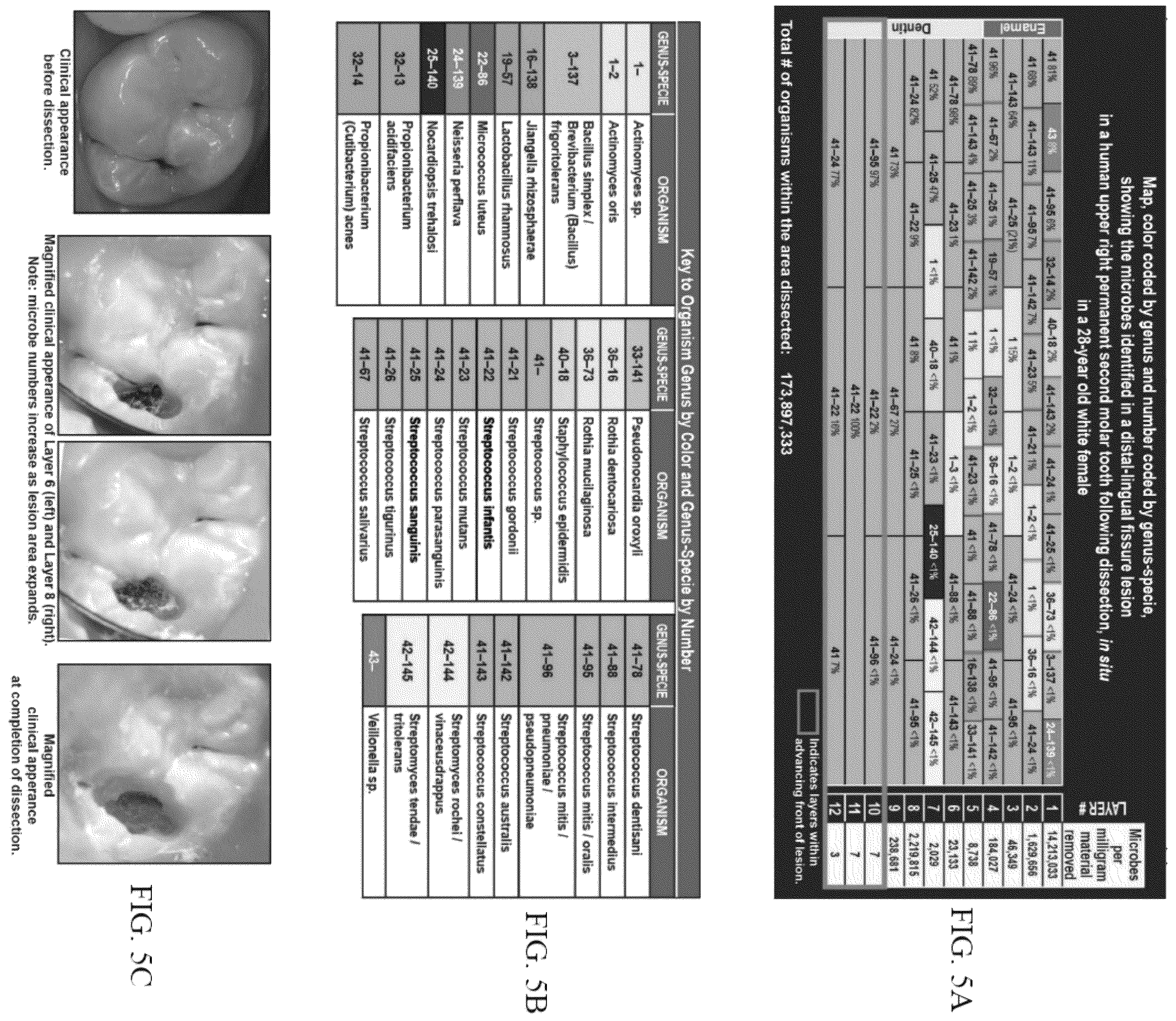 Patent US12365931 Figure 5 – Aseptic dissection and characterization of mixed microbial infections, display of microbe spatial relationships and lesion advancing fronts in human, veterinary, and botanical samples