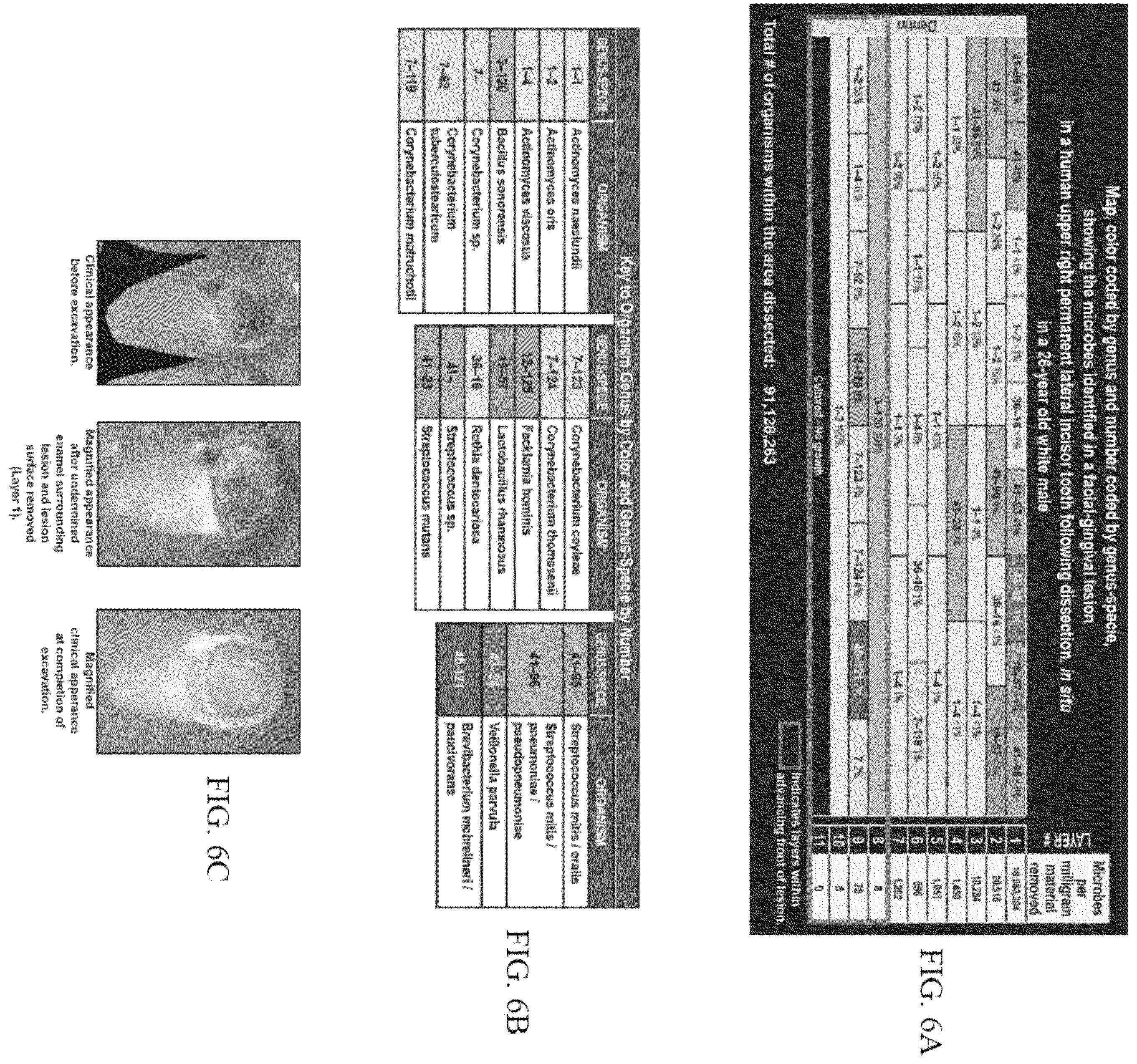 Patent US12365931 Figure 6 – Aseptic dissection and characterization of mixed microbial infections, display of microbe spatial relationships and lesion advancing fronts in human, veterinary, and botanical samples