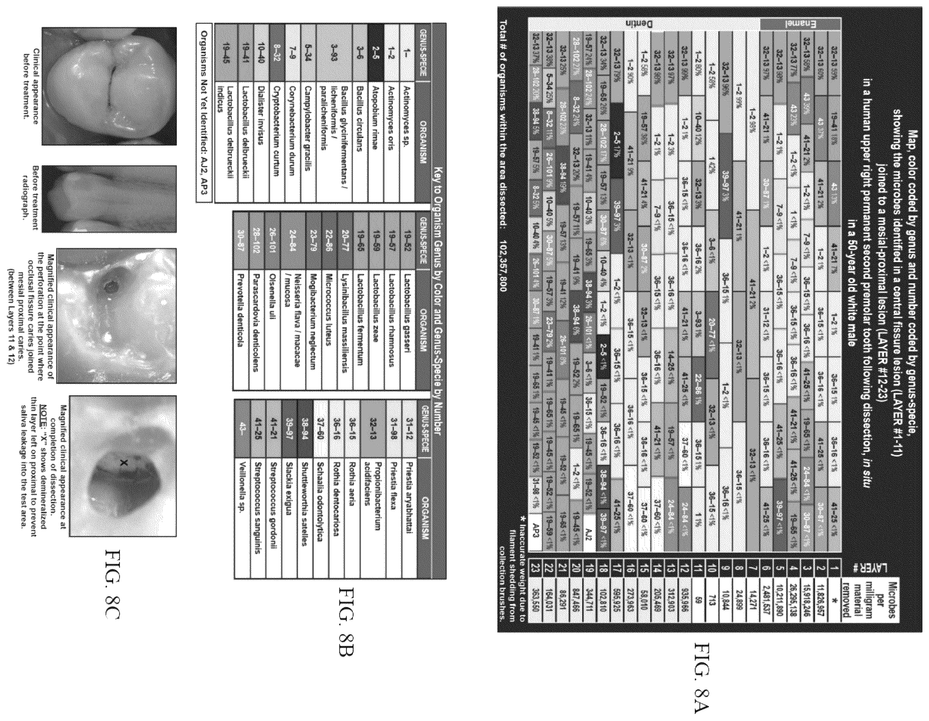Patent US12365931 Figure 8 – Aseptic dissection and characterization of mixed microbial infections, display of microbe spatial relationships and lesion advancing fronts in human, veterinary, and botanical samples