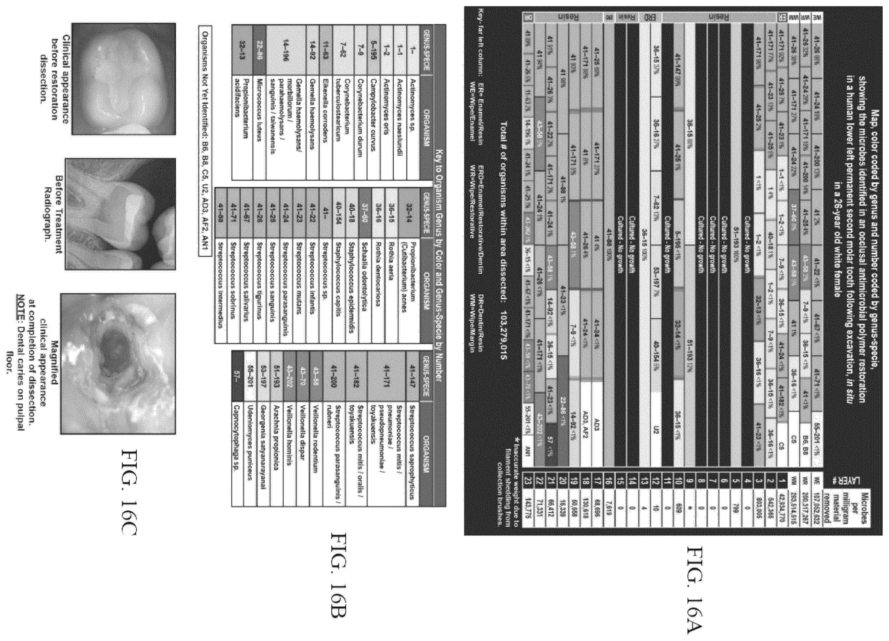 Patent US12365931 Figure 14 – Aseptic dissection and characterization of mixed microbial infections, display of microbe spatial relationships and lesion advancing fronts in human, veterinary, and botanical samples