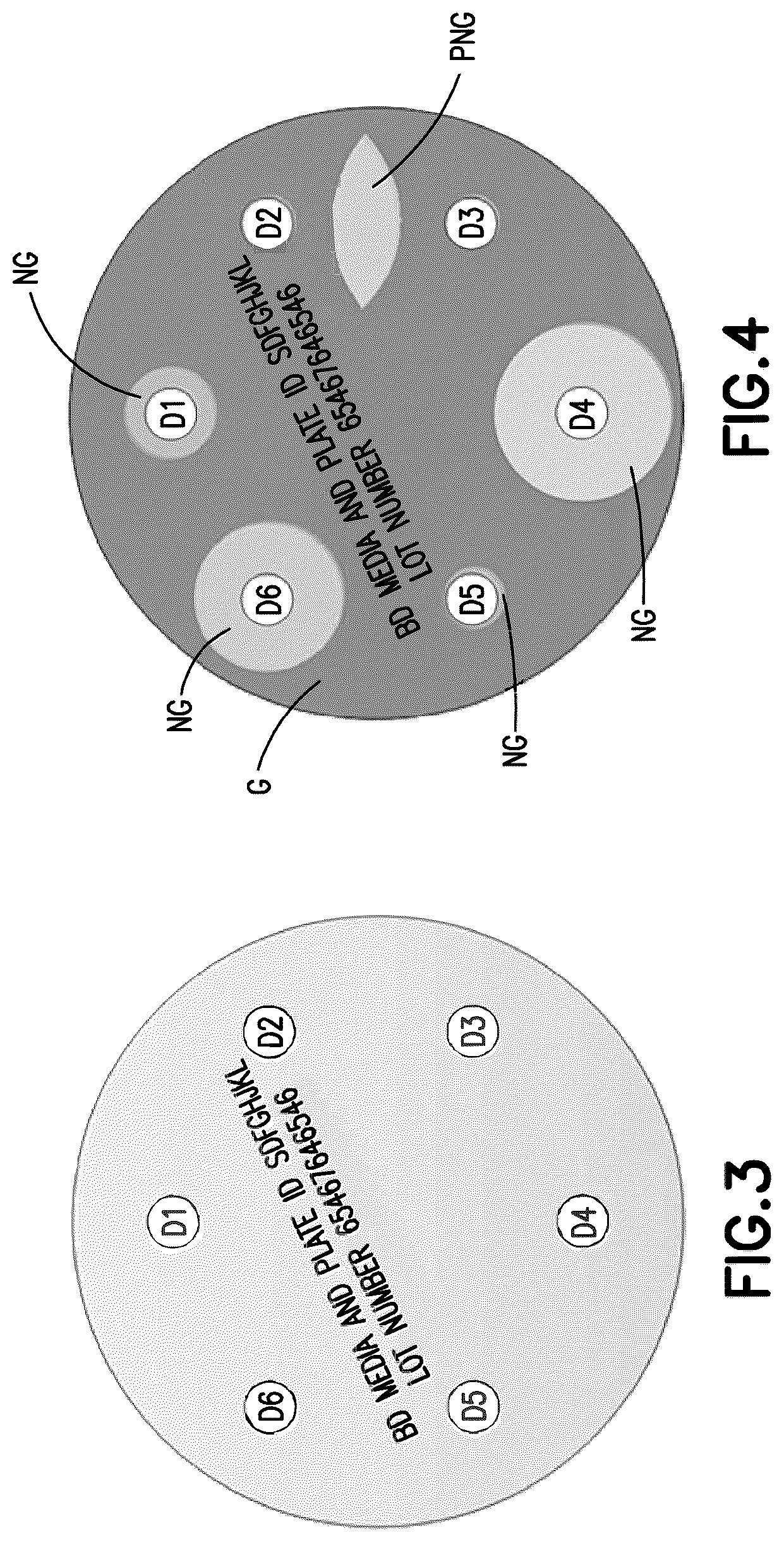 Patent US12365932 Figure 3 – Methods and systems for automated assessment of antibiotic sensitivity