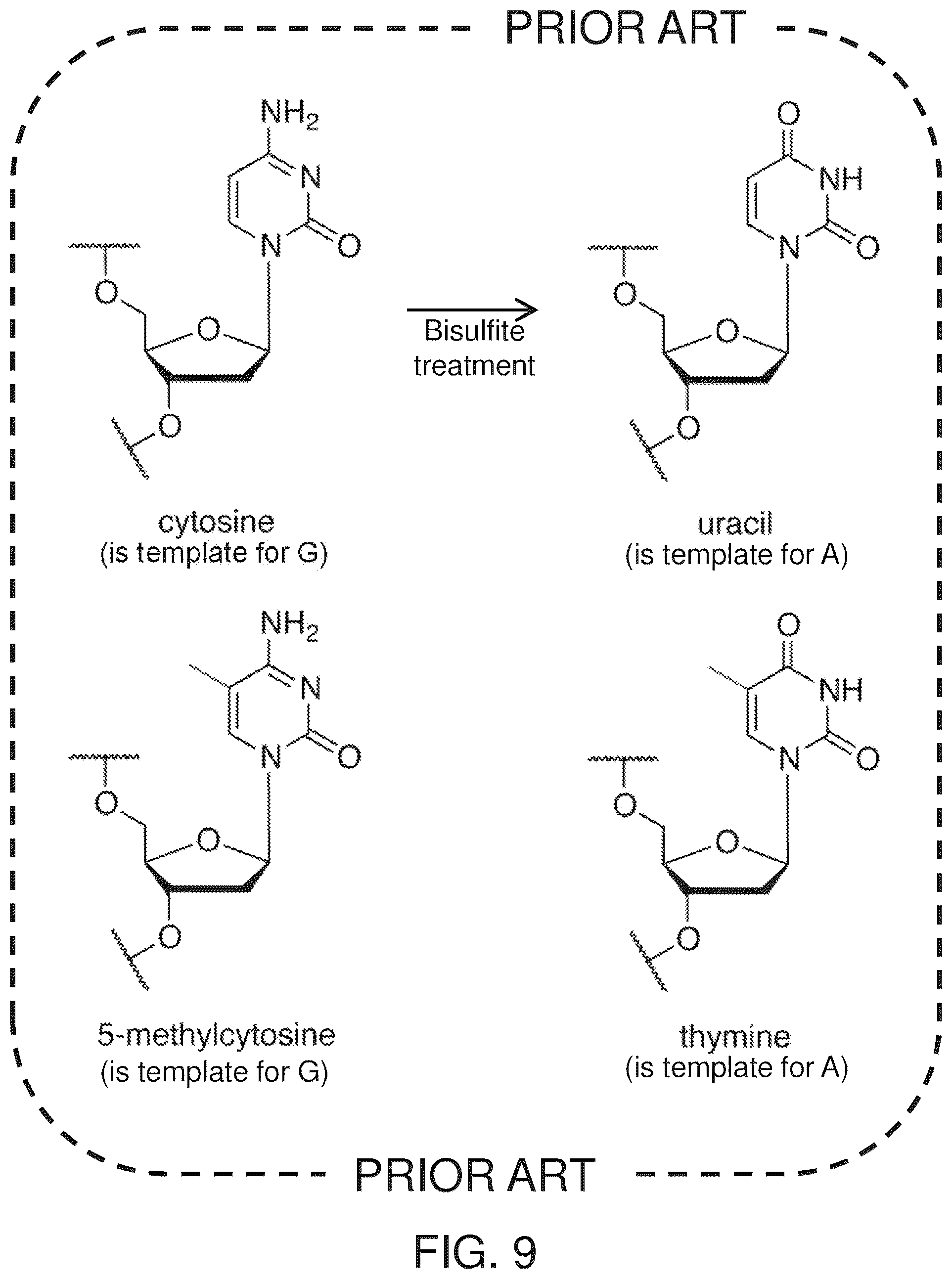 Patent US12365933 Figure 9 – Systems and methods for epigenetic analysis