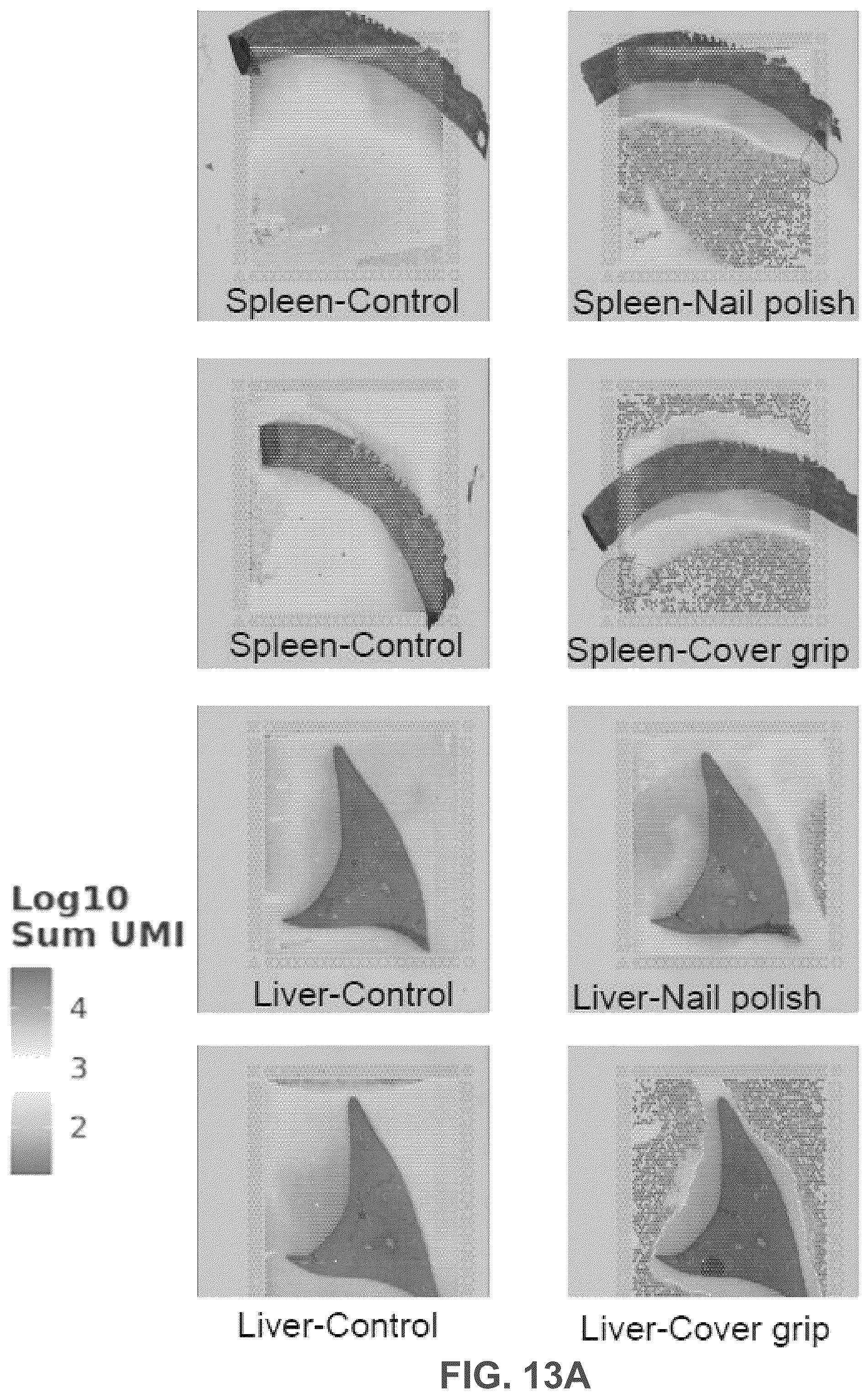 Patent US12365935 Figure 15 – Methods for increasing resolution of spatial analysis