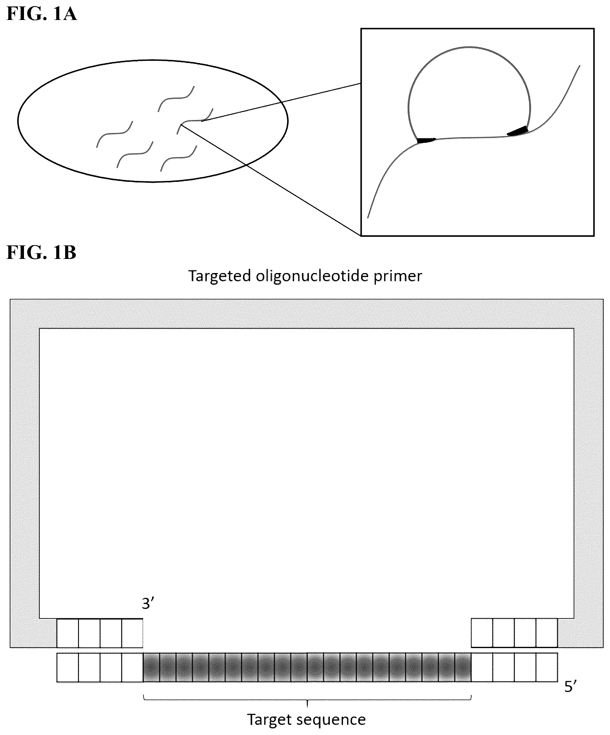 Patent US12365936 Figure 1 – Spatial sequencing of modified sequences
