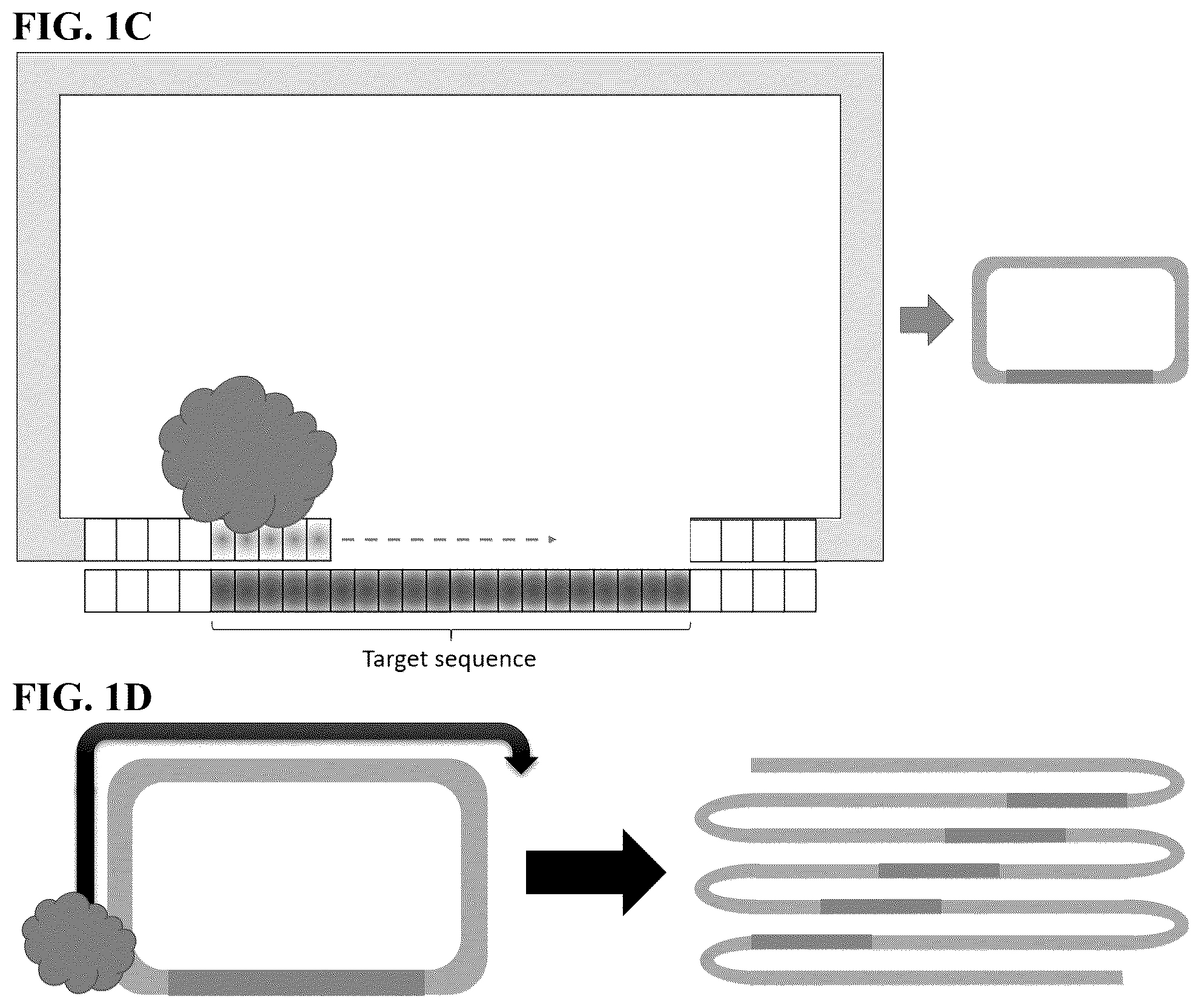 Patent US12365936 Figure 2 – Spatial sequencing of modified sequences