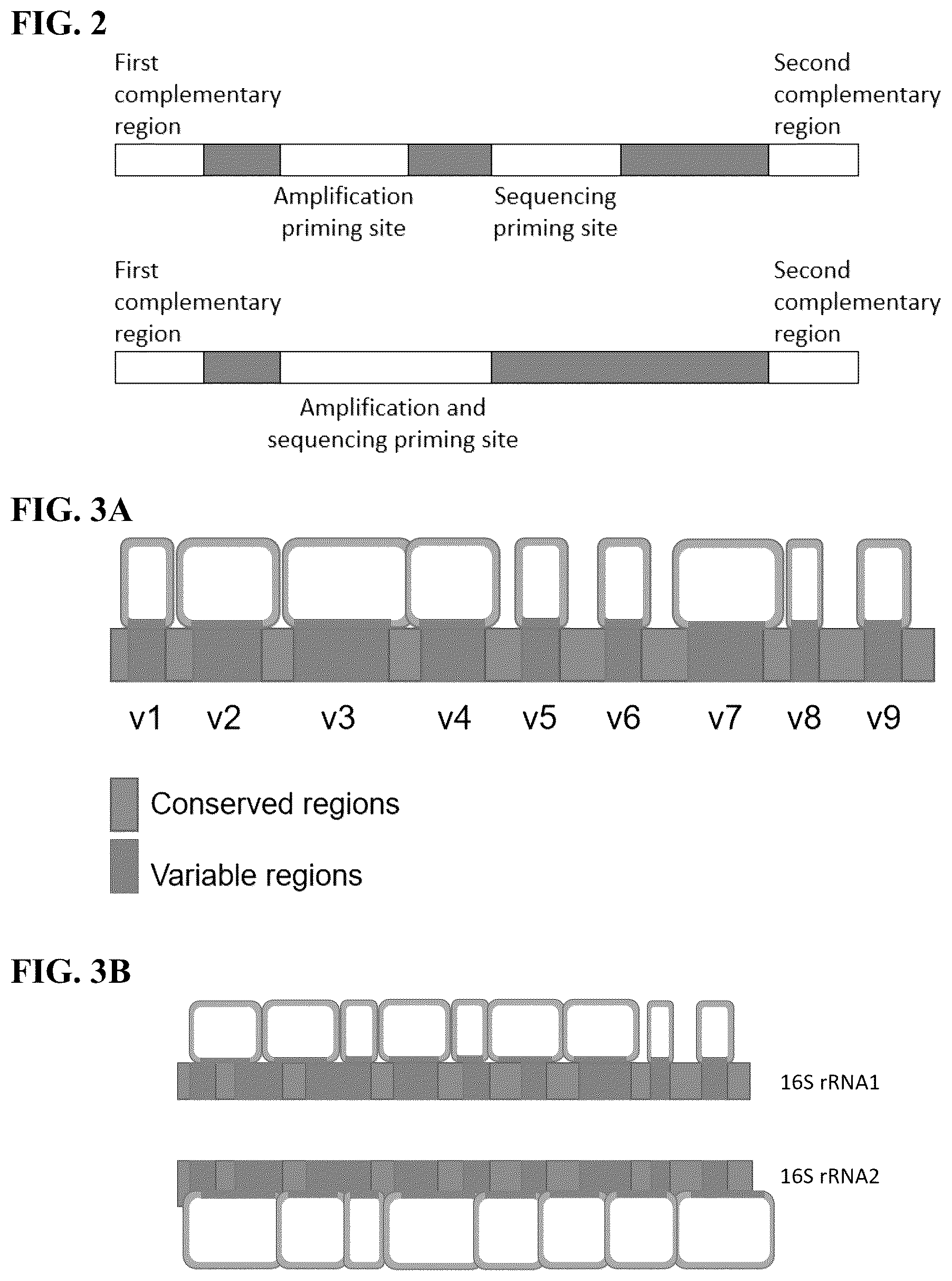 Patent US12365936 Figure 3 – Spatial sequencing of modified sequences
