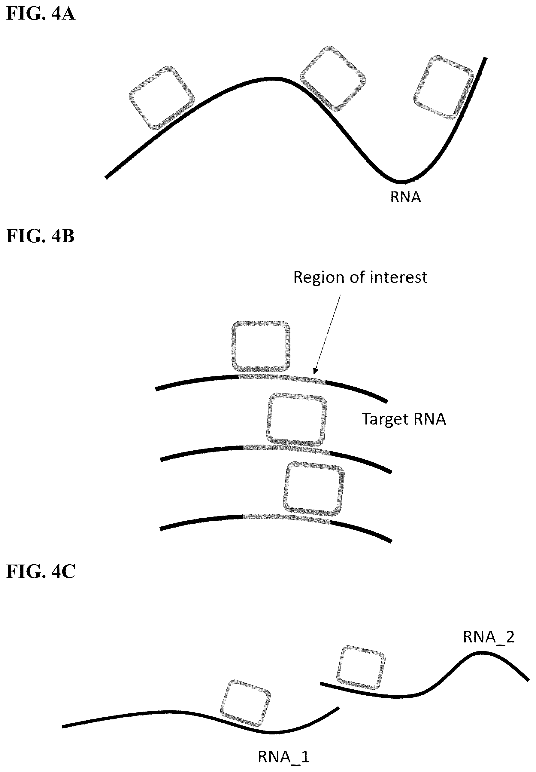 Patent US12365936 Figure 4 – Spatial sequencing of modified sequences