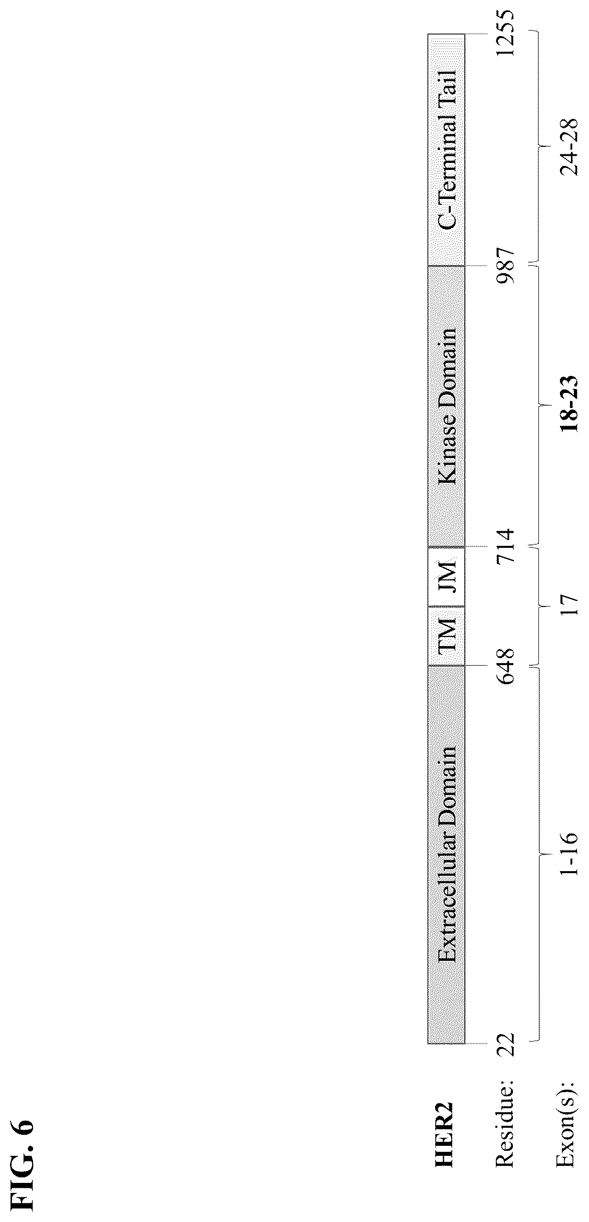 Patent US12365936 Figure 6 – Spatial sequencing of modified sequences