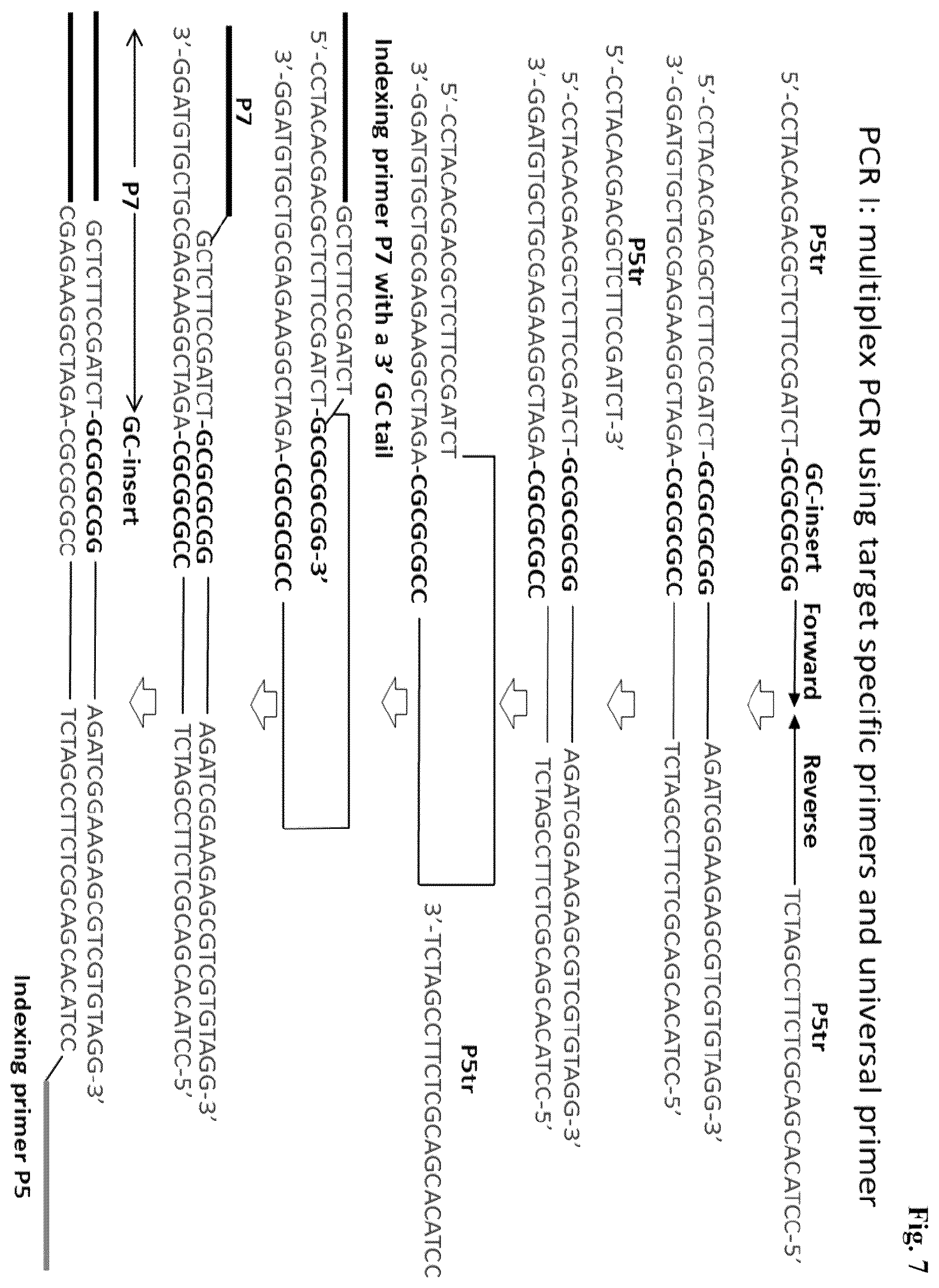 Patent US12365937 Figure 7 – Asymmetric targeted amplification methods