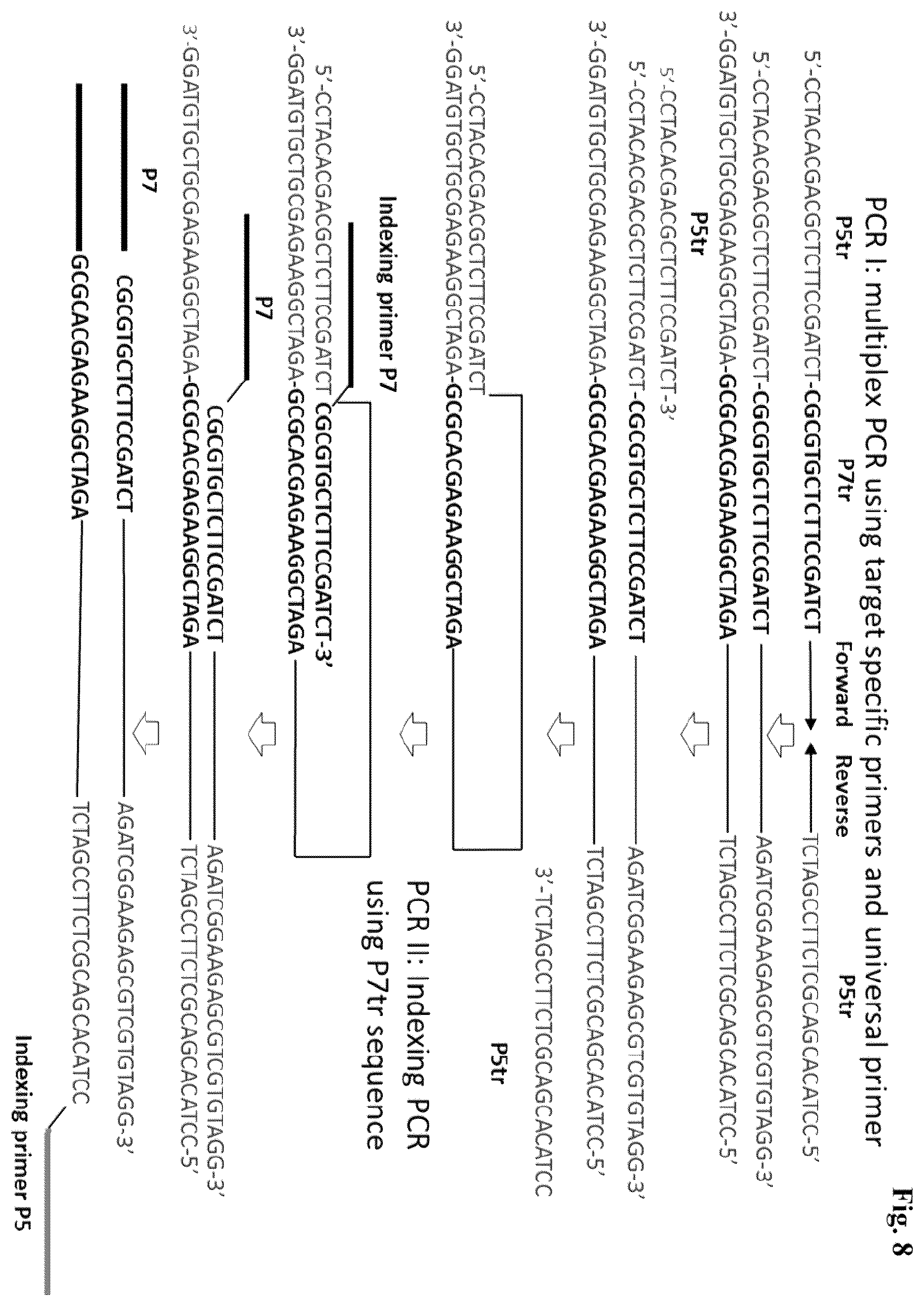Patent US12365937 Figure 8 – Asymmetric targeted amplification methods