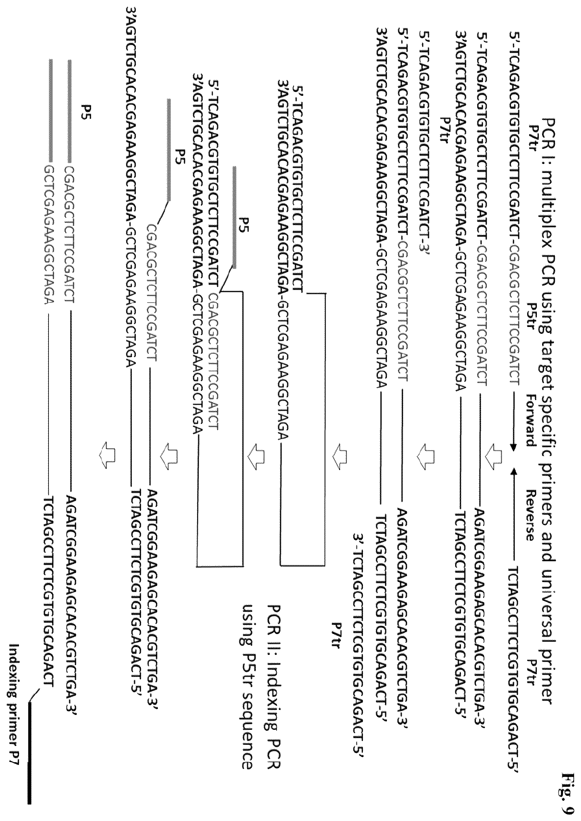 Patent US12365937 Figure 9 – Asymmetric targeted amplification methods