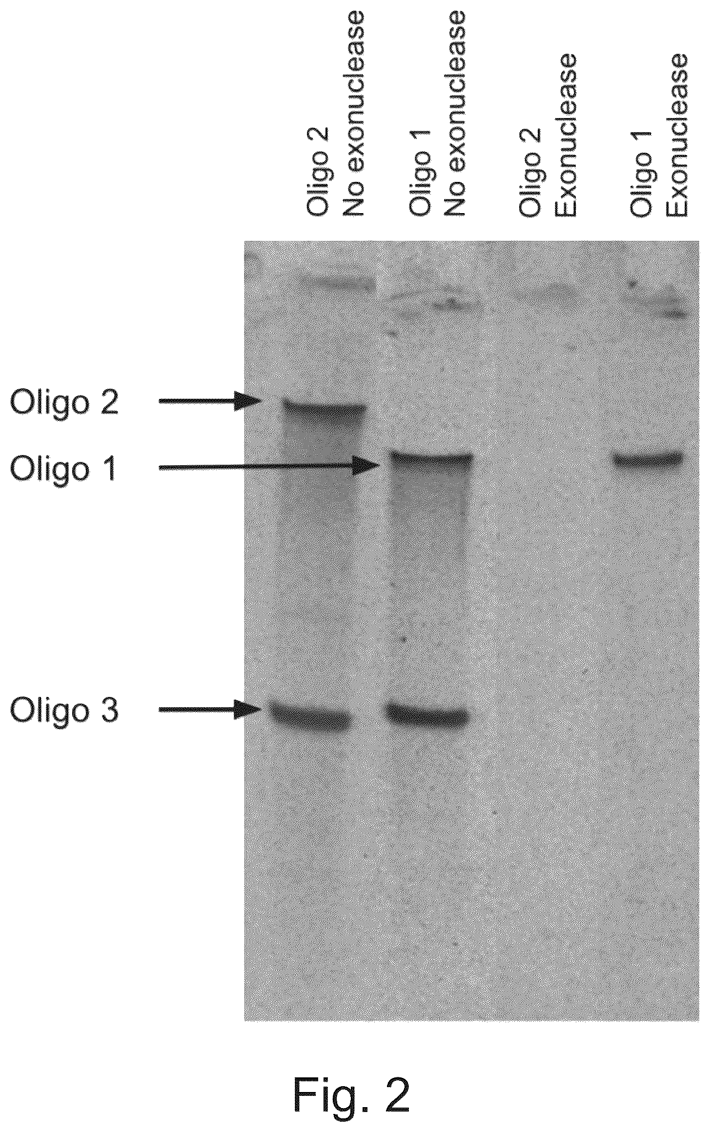 Patent US12365938 Figure 2 – Polynucleotide sequence detection method