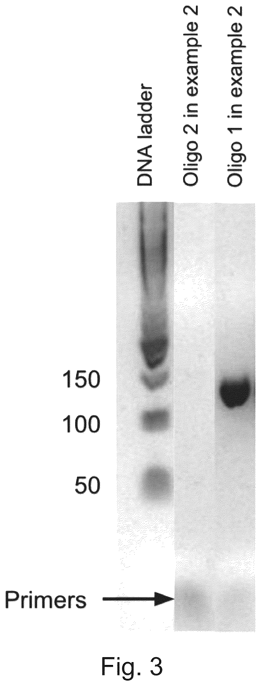 Patent US12365938 Figure 3 – Polynucleotide sequence detection method