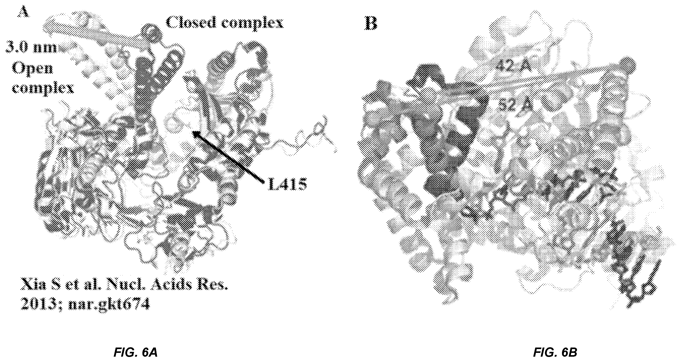 Patent US12365939 Figure 12 – Compositions, systems, and methods for detecting events using tethers anchored to or adjacent to nanopores