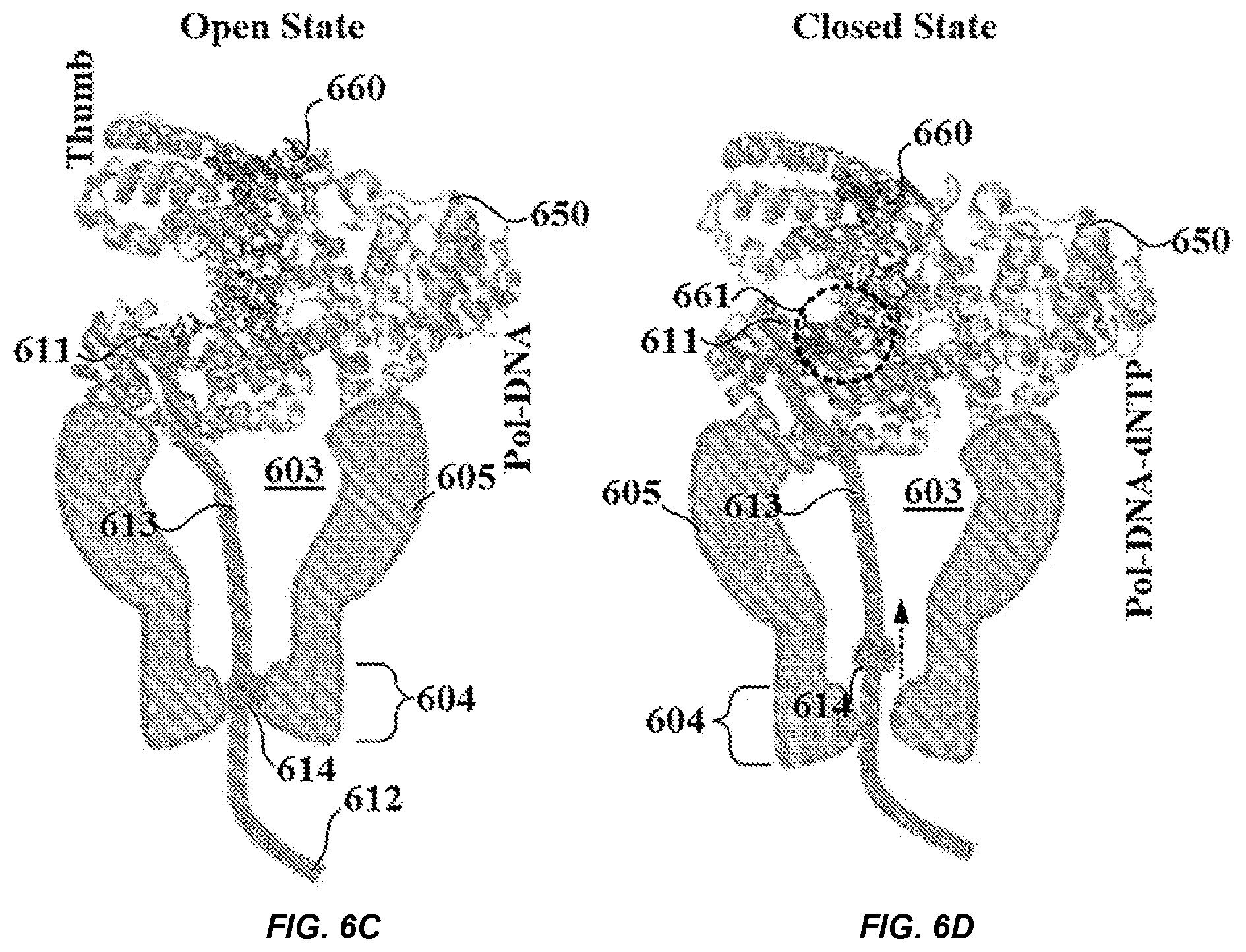 Patent US12365939 Figure 13 – Compositions, systems, and methods for detecting events using tethers anchored to or adjacent to nanopores