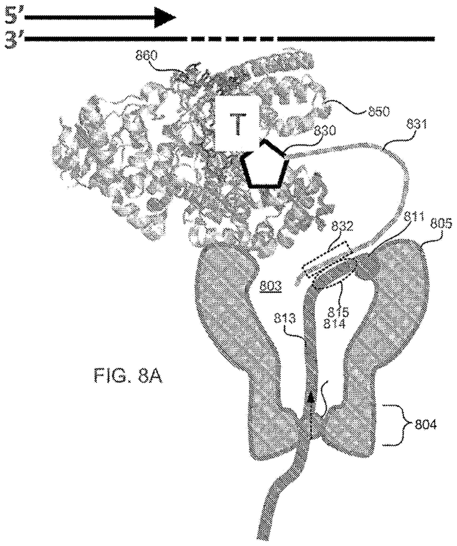 Patent US12365939 Figure 15 – Compositions, systems, and methods for detecting events using tethers anchored to or adjacent to nanopores