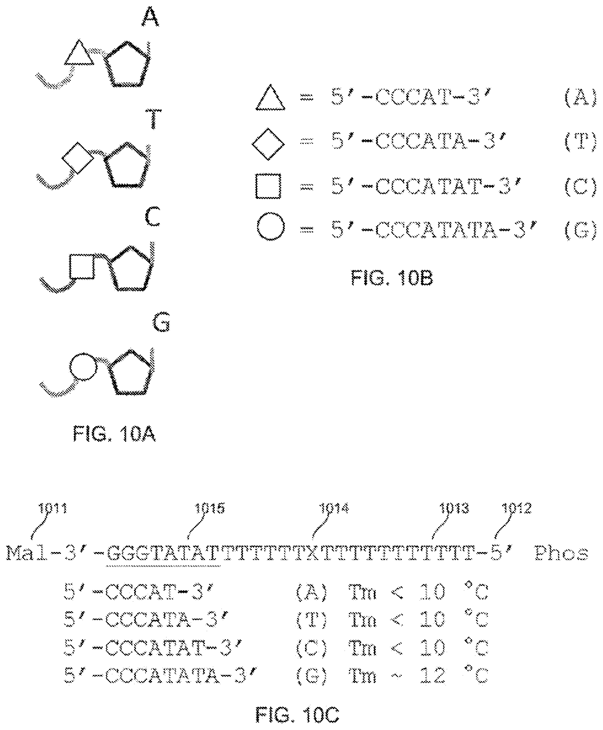 Patent US12365939 Figure 18 – Compositions, systems, and methods for detecting events using tethers anchored to or adjacent to nanopores
