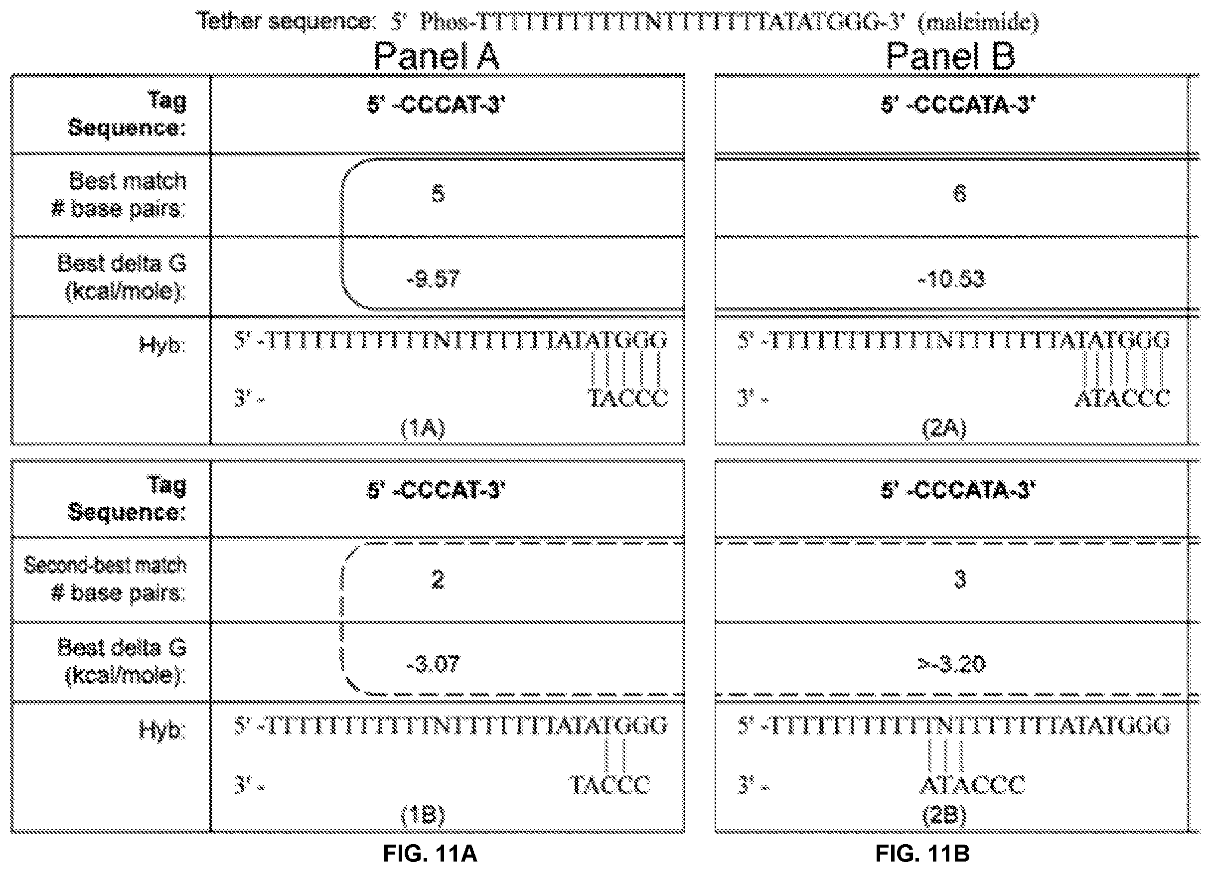 Patent US12365939 Figure 19 – Compositions, systems, and methods for detecting events using tethers anchored to or adjacent to nanopores