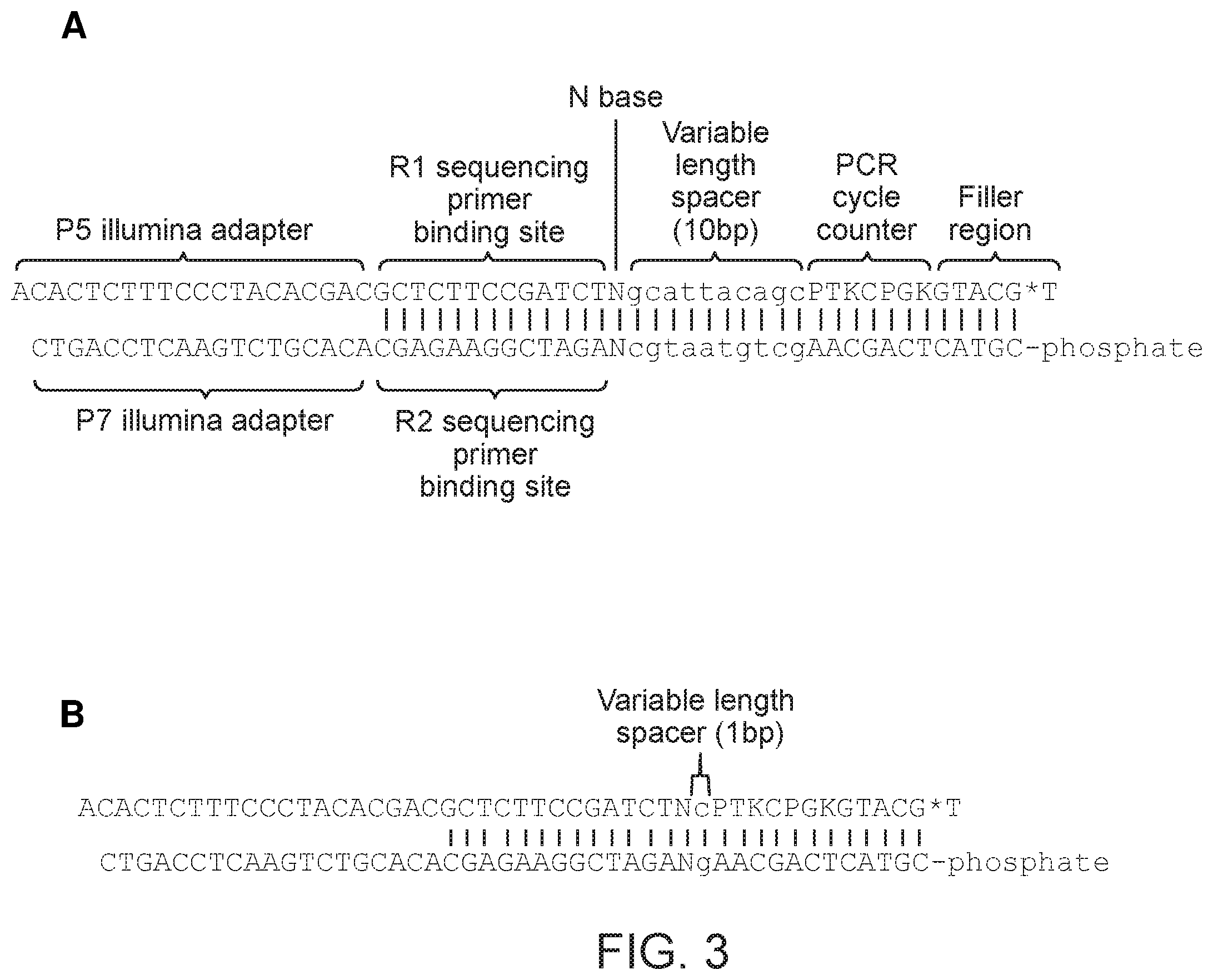 Patent US12365940 Figure 2 – Methods of labelling nucleic acids using variable length oligonucleotides